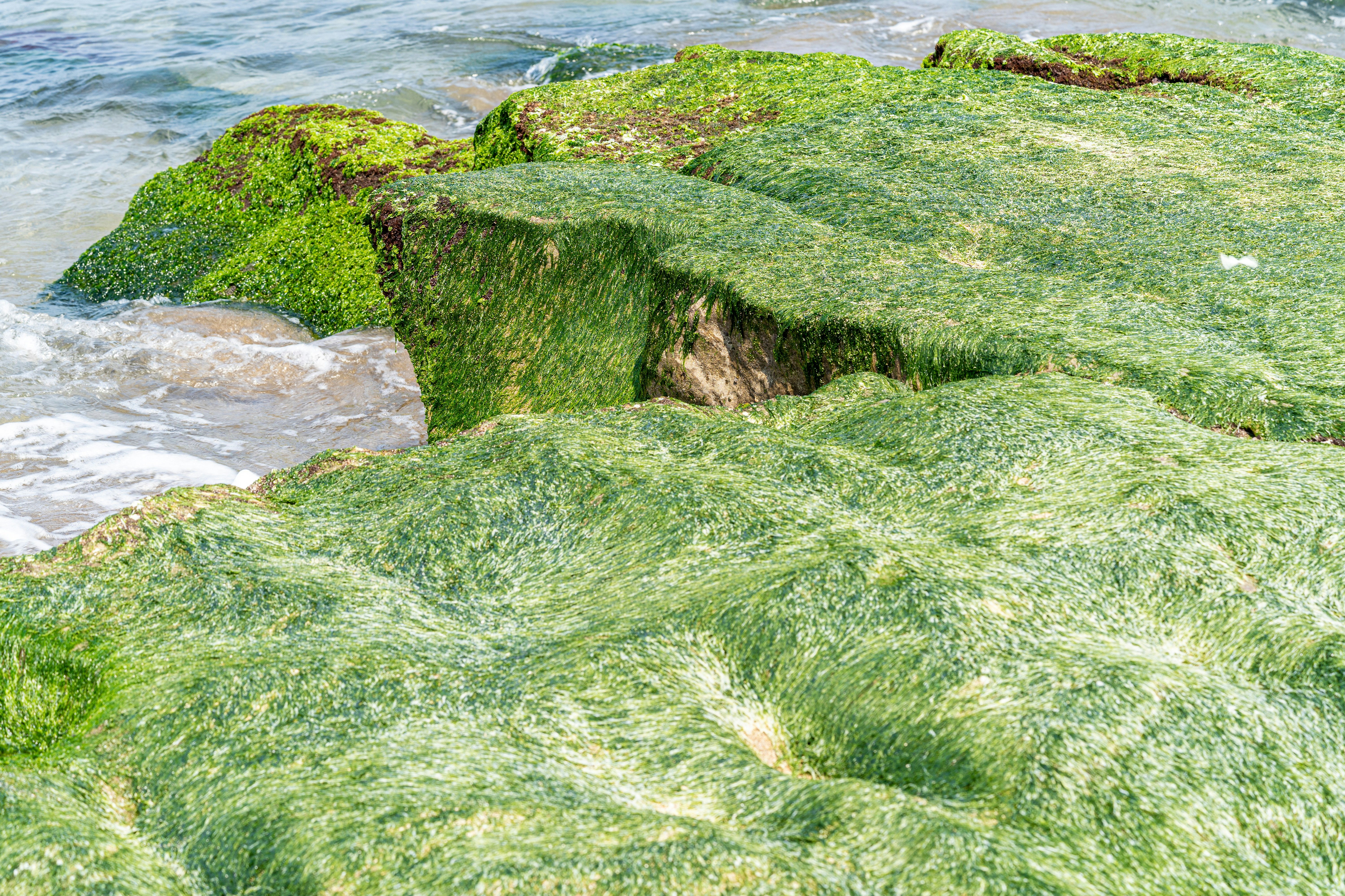 Photo by winstonchen