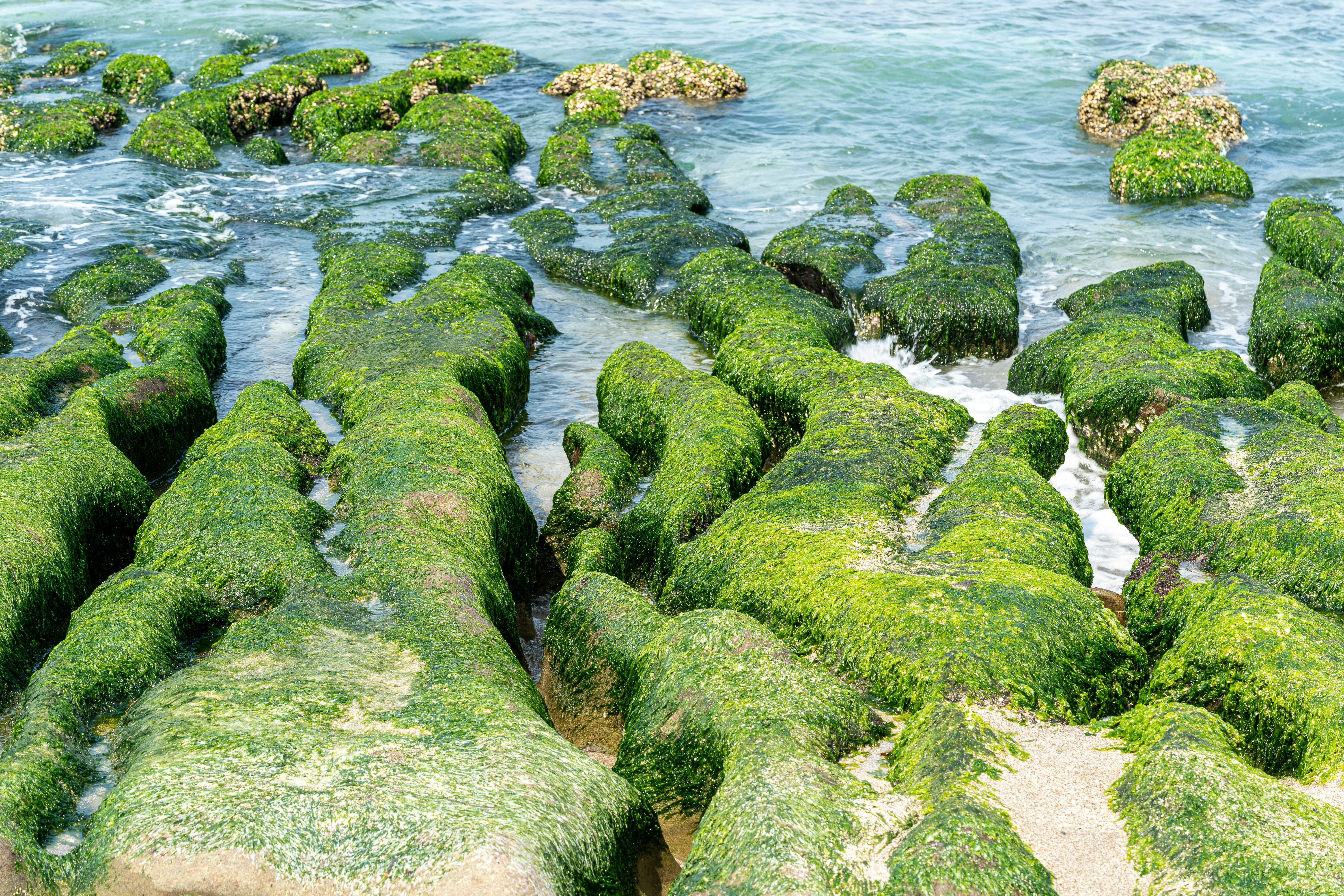 Photo by winstonchen