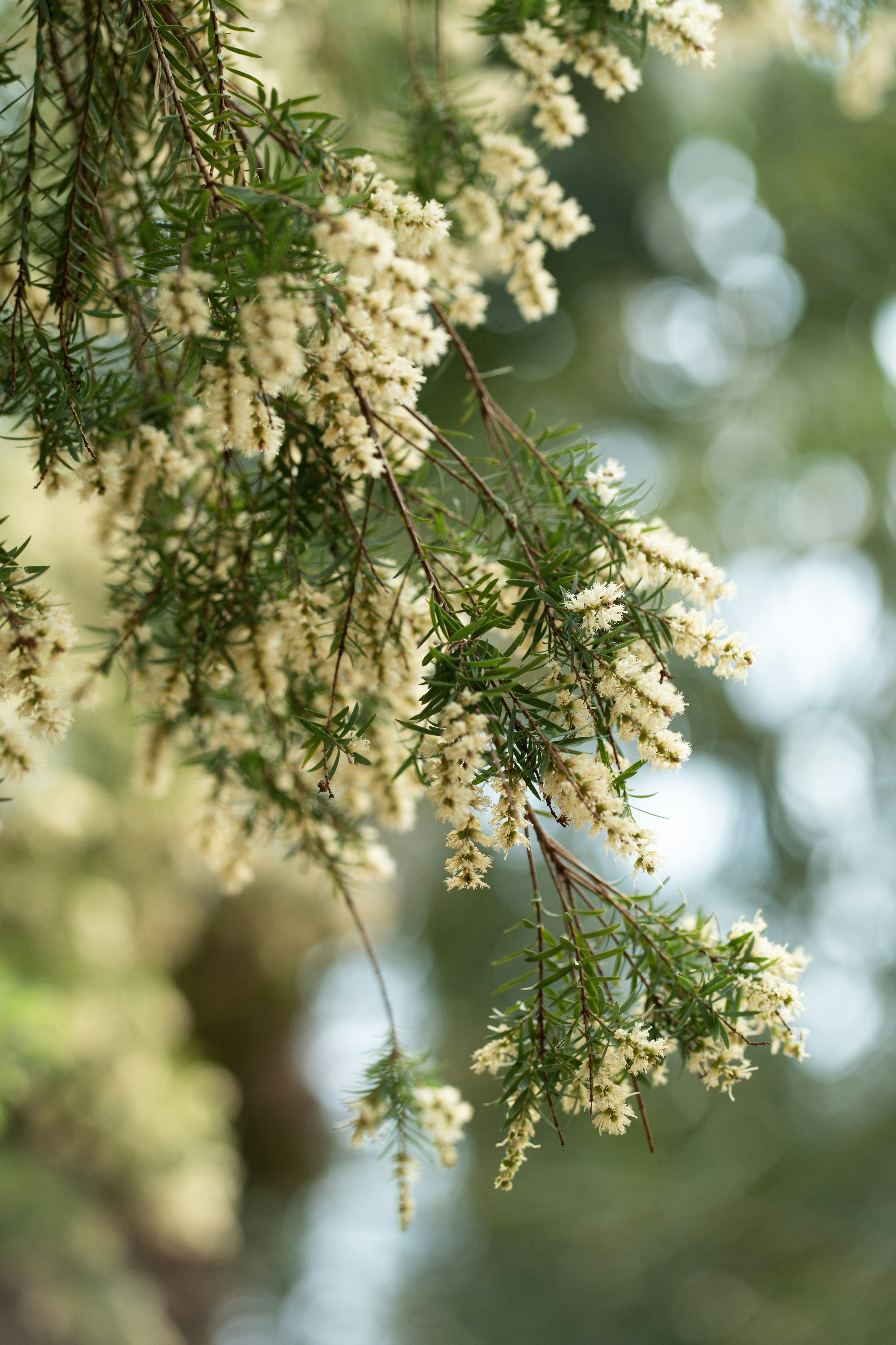 Photo by nunnunannalala