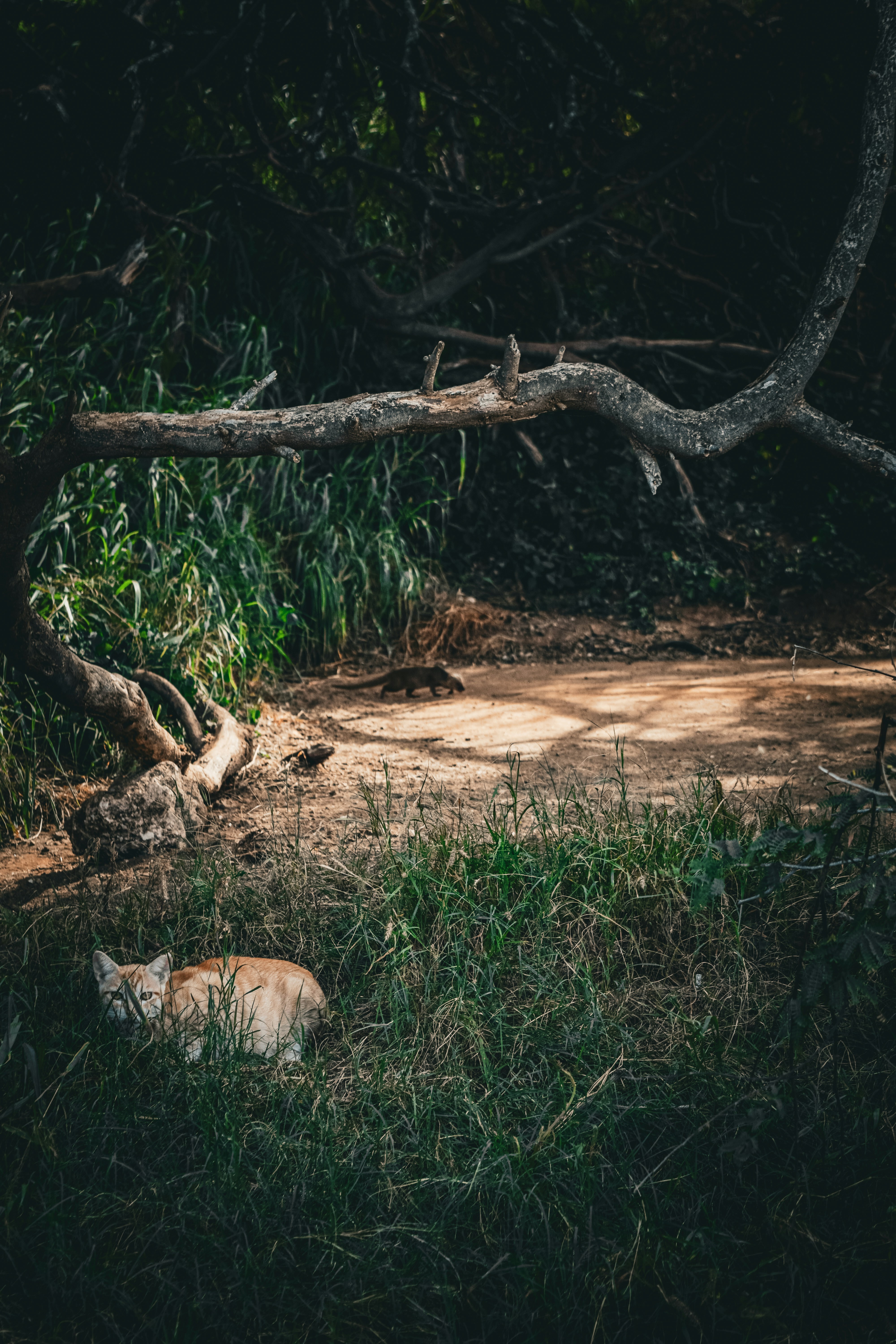 Photo by marshalliden124