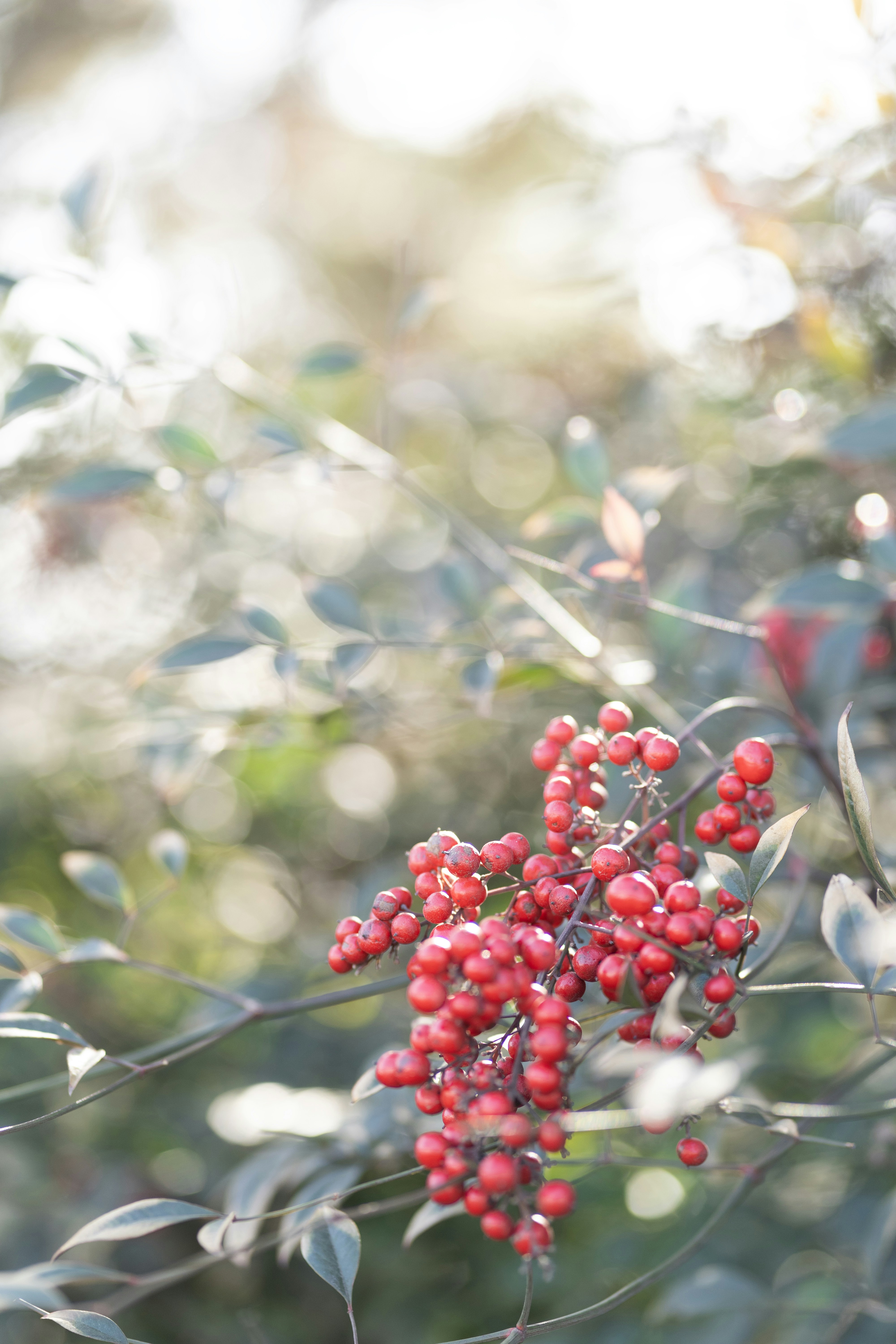 Photo by nunnunannalala