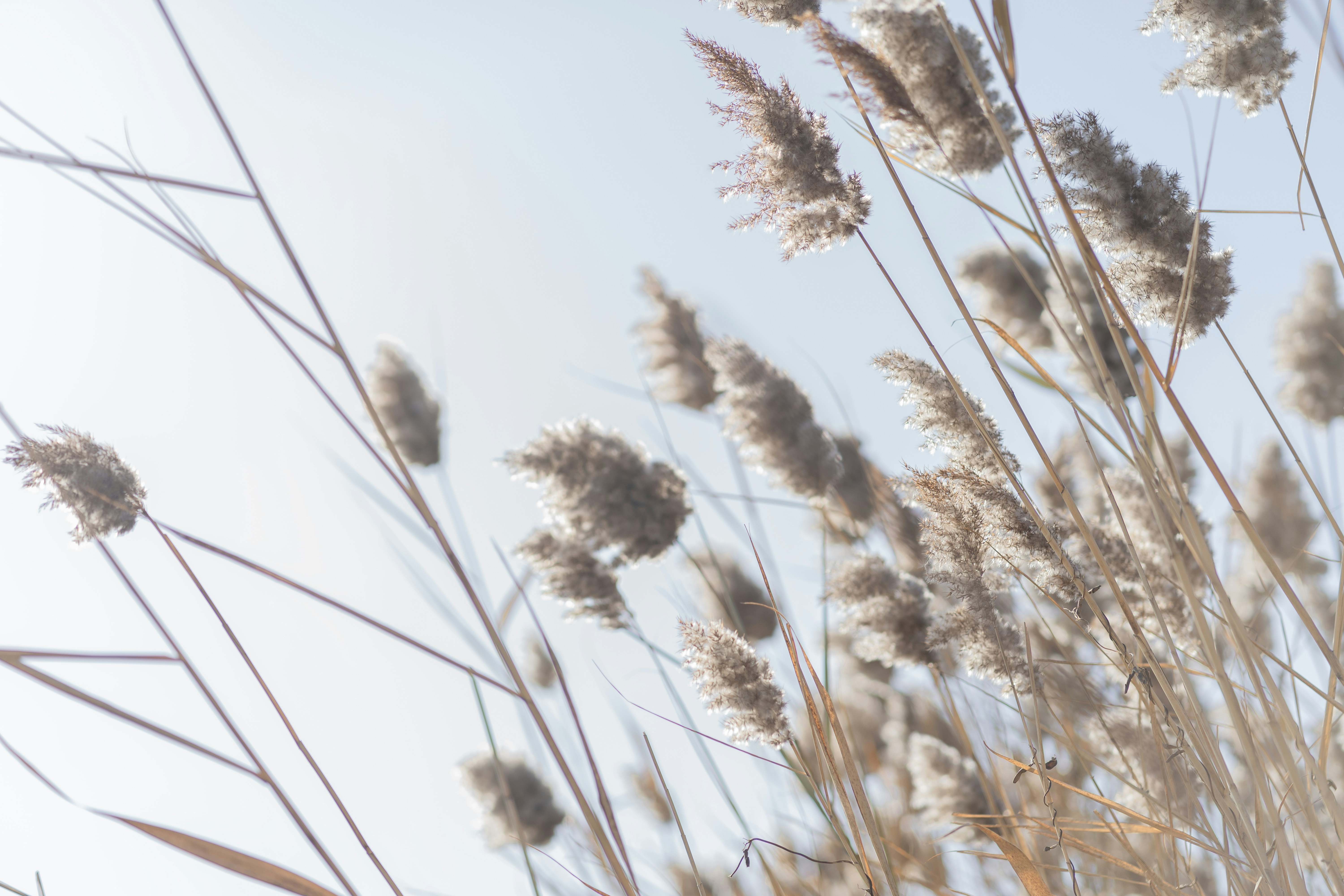 Photo by nunnunannalala