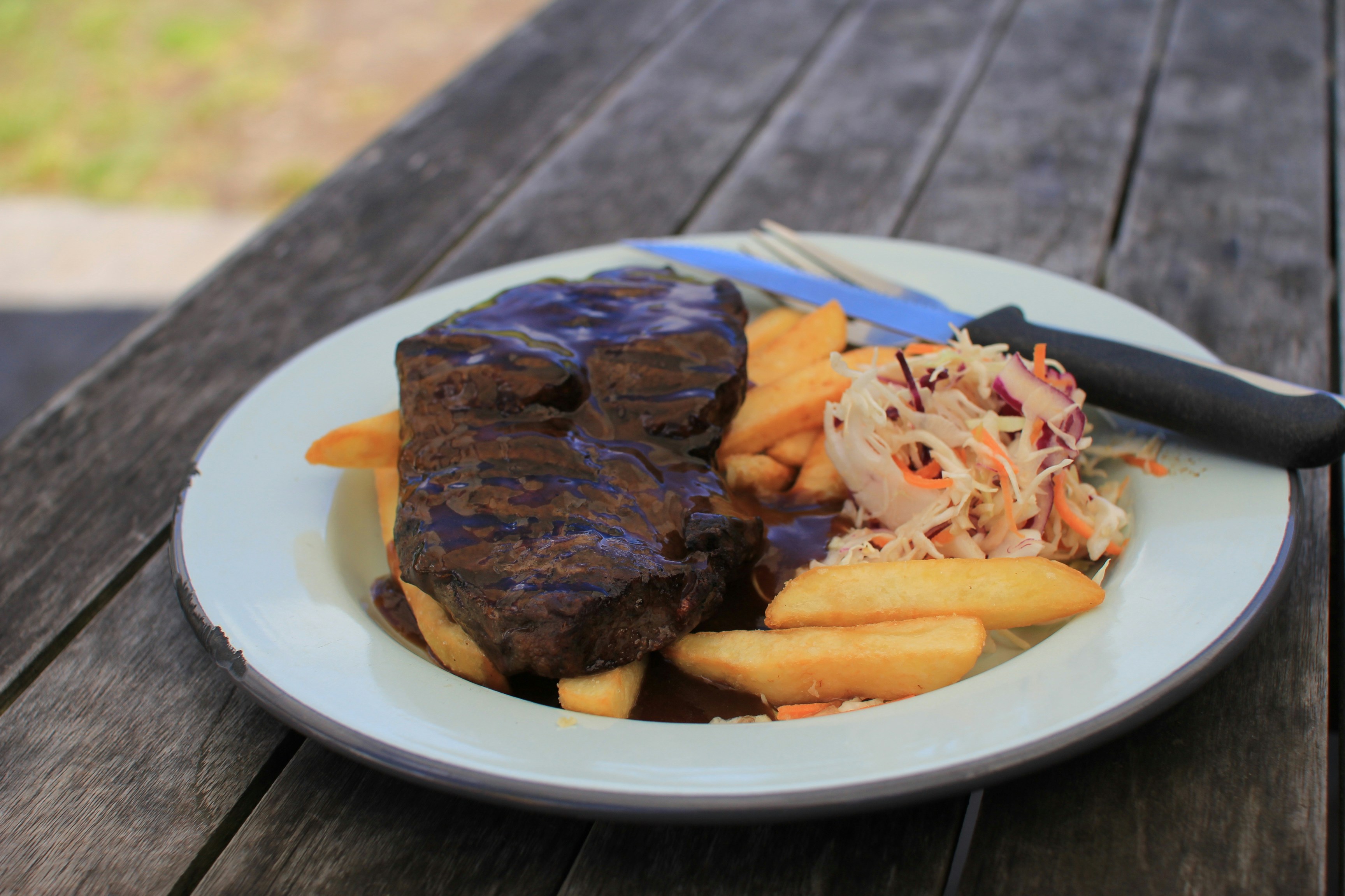 Steak, fries, and coleslaw on a plate.