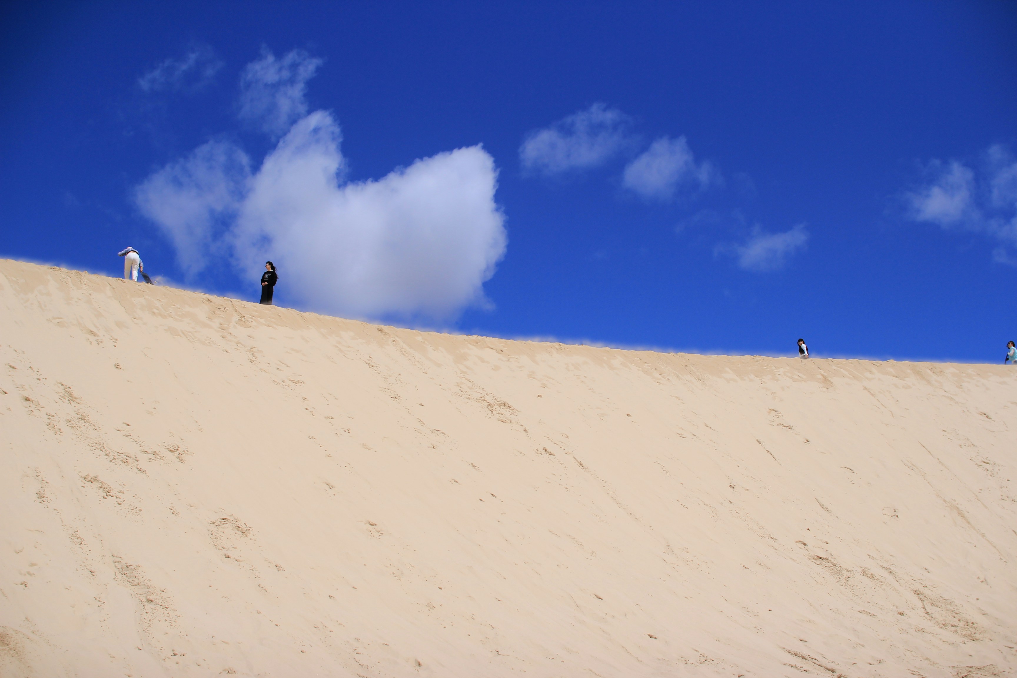 Photo by chocolate_milk_denmark