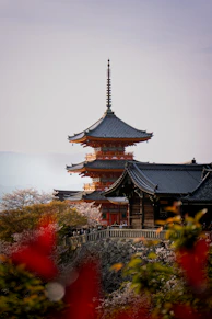 Japanese temple with cherry blossoms at dusk.