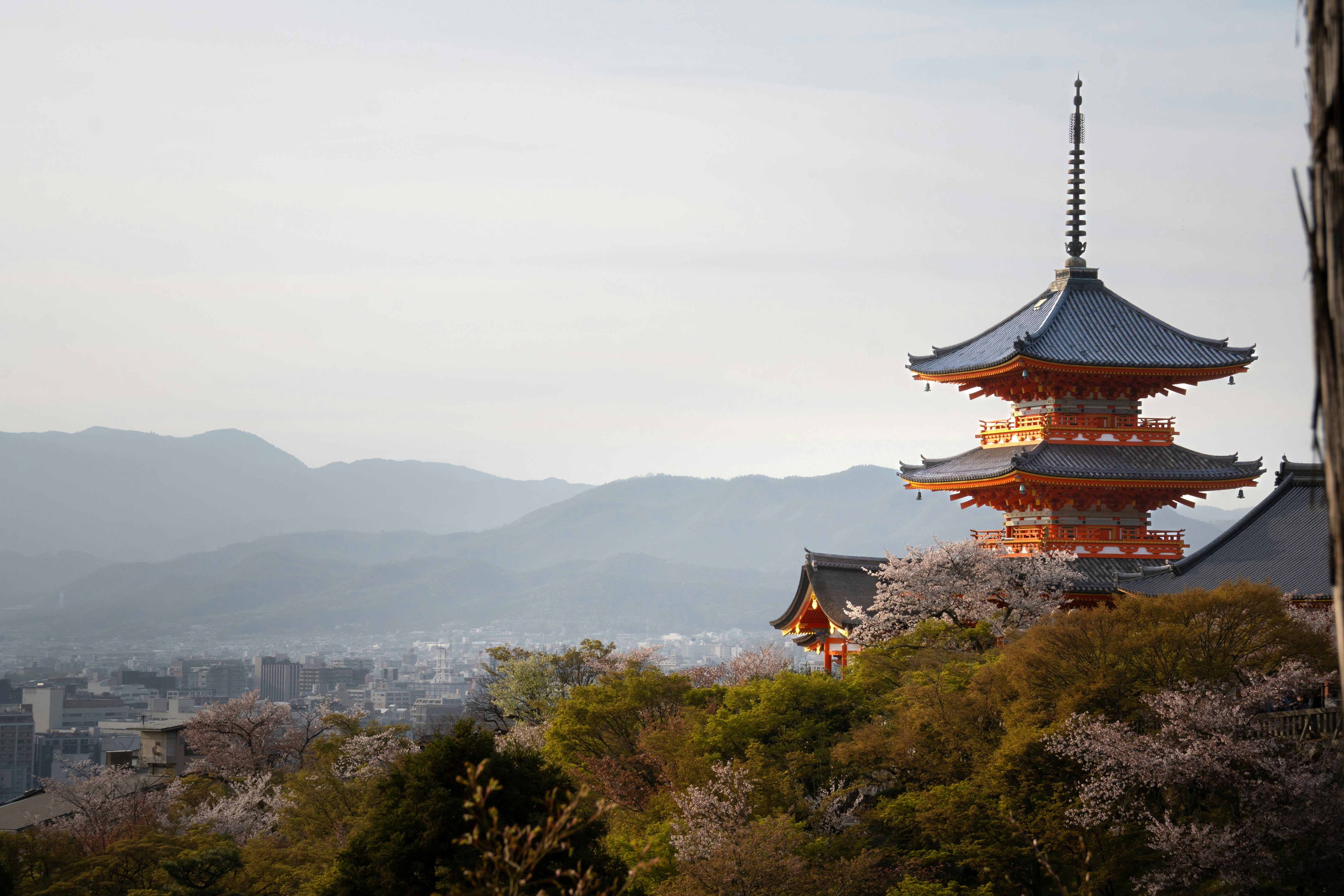 Photo by marcovockner