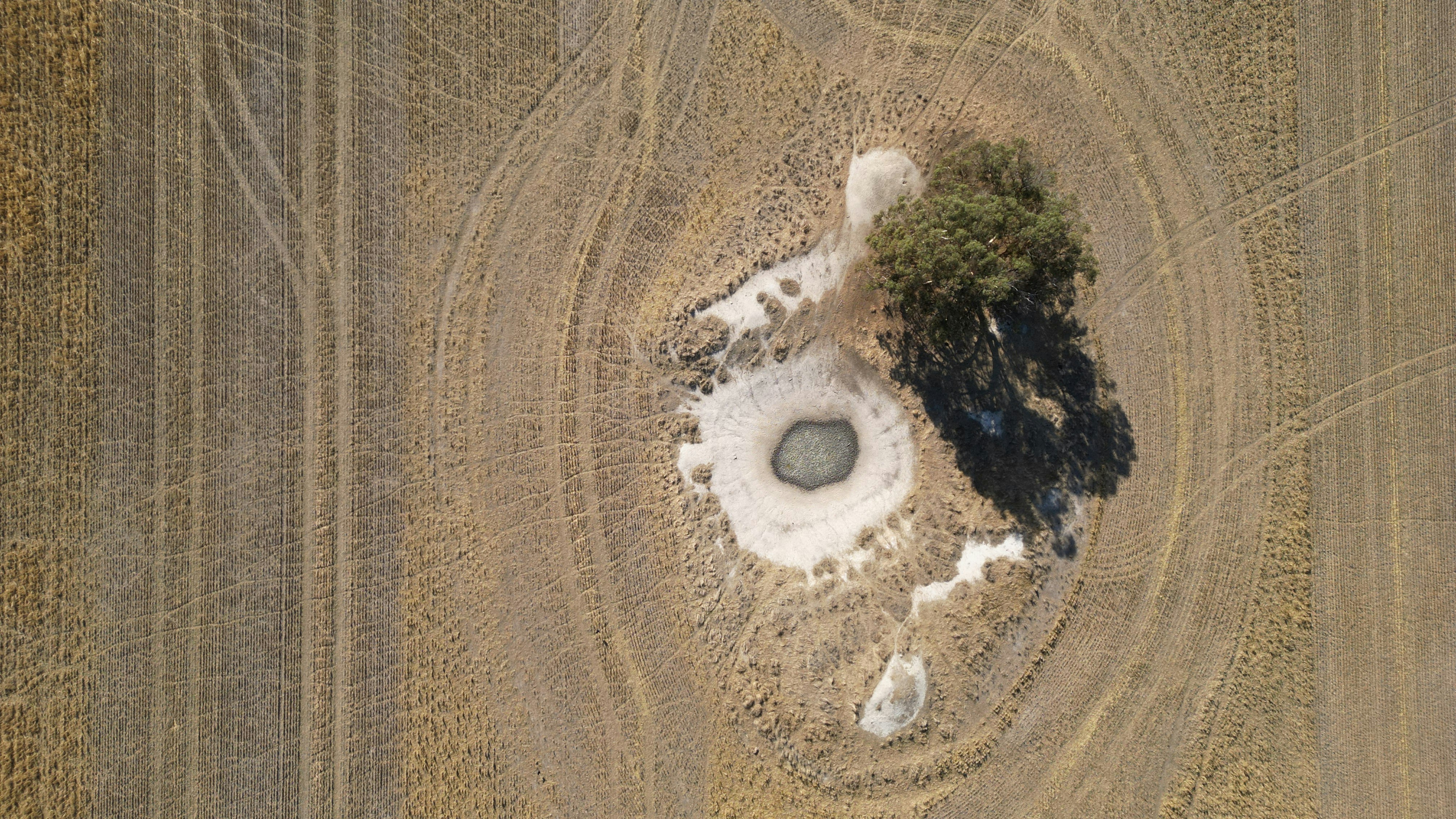 Aerial view of watering hole and trees in harvested field