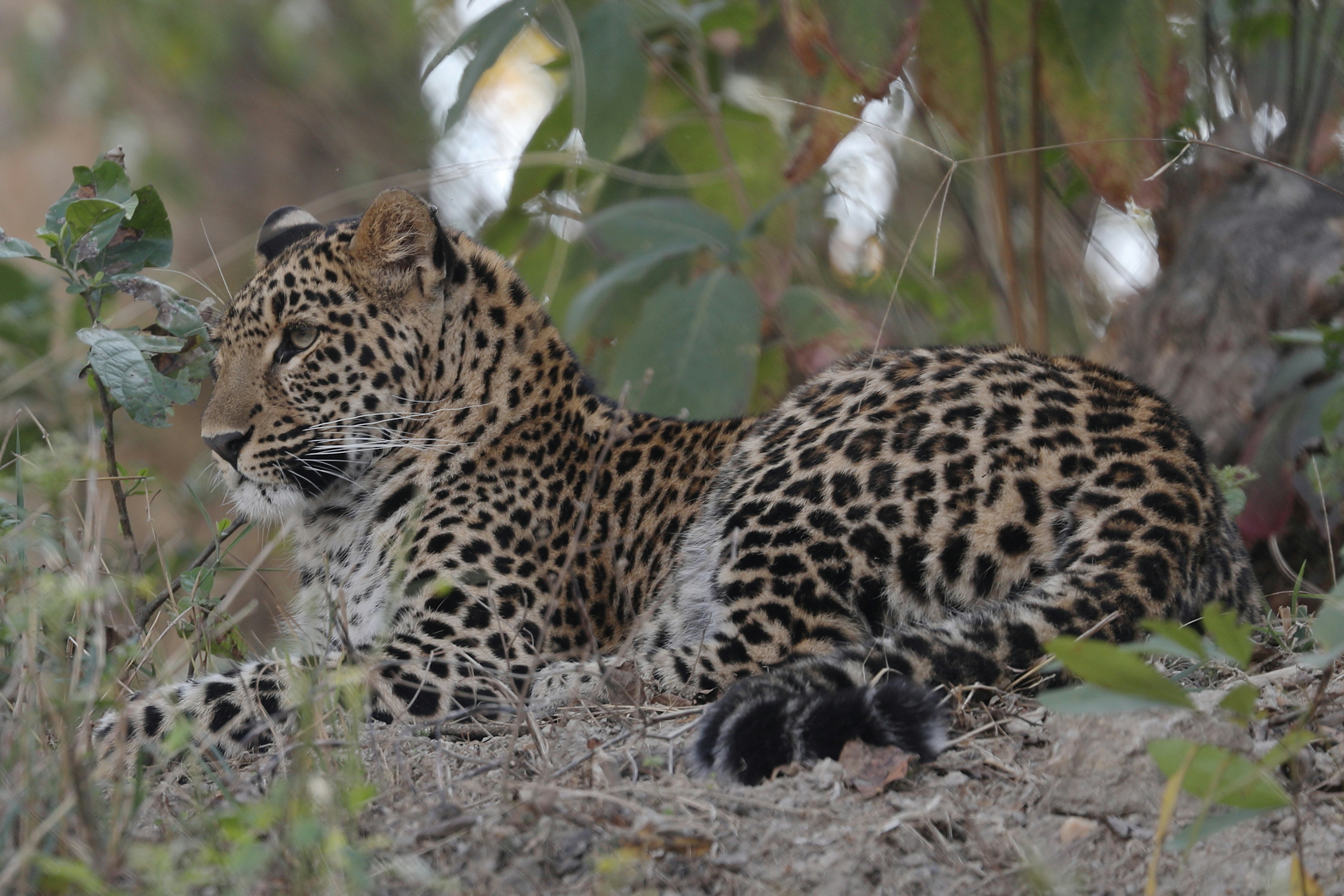 Tiny Spots, Big Dreams (image credits: unsplash)