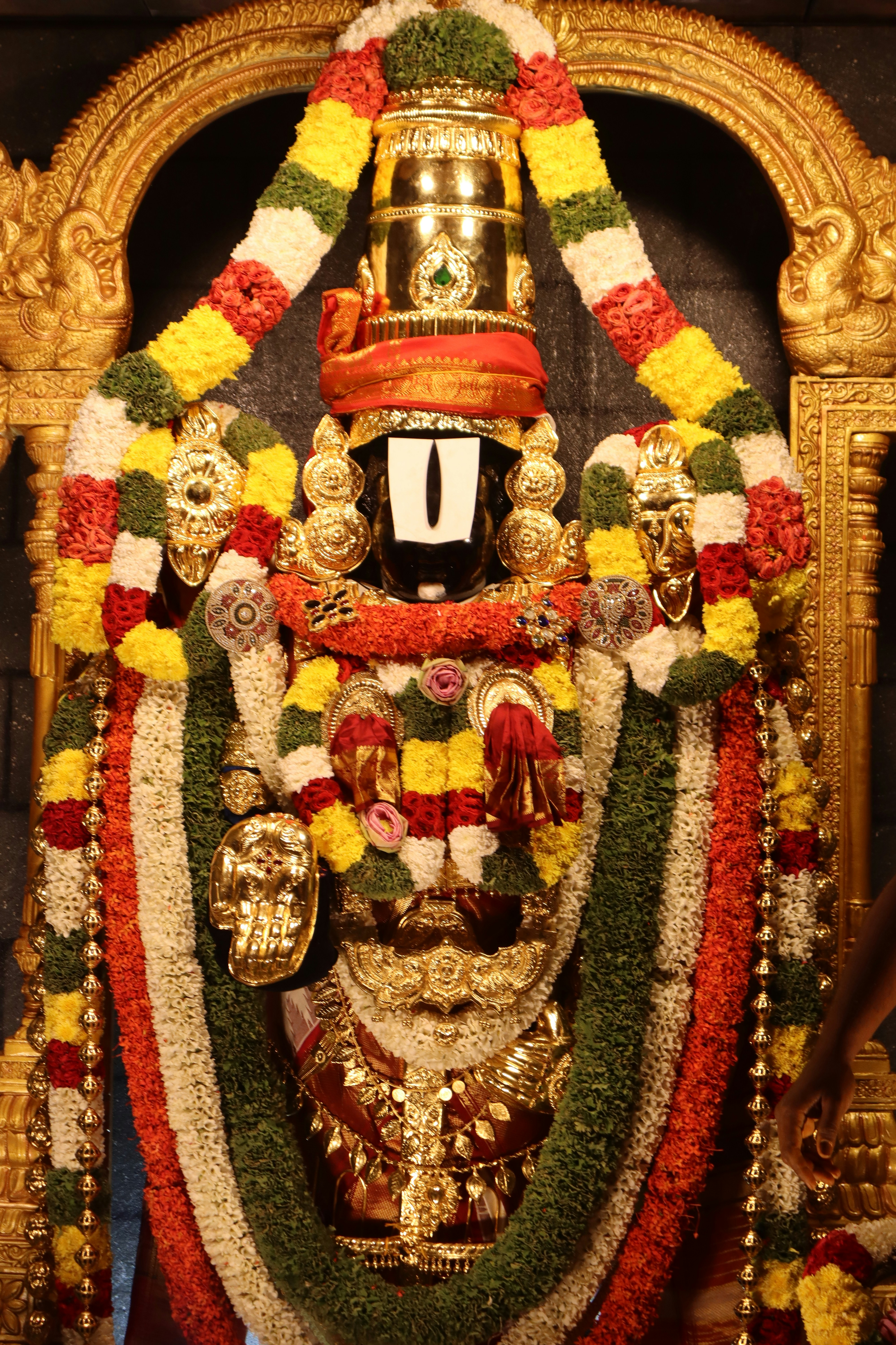 Photo by laavanya_bhattt