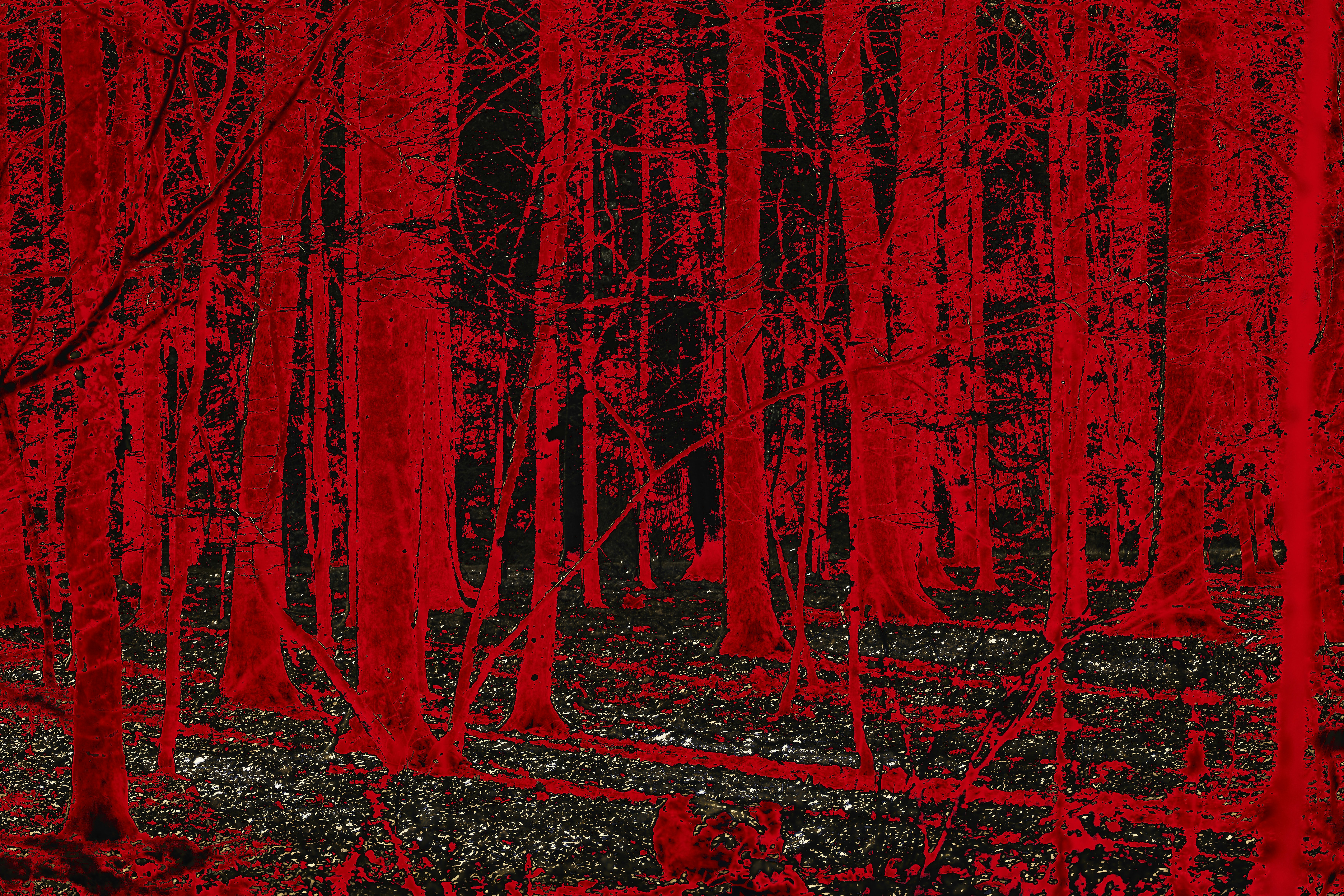 Photo by wolfgang_hasselmann