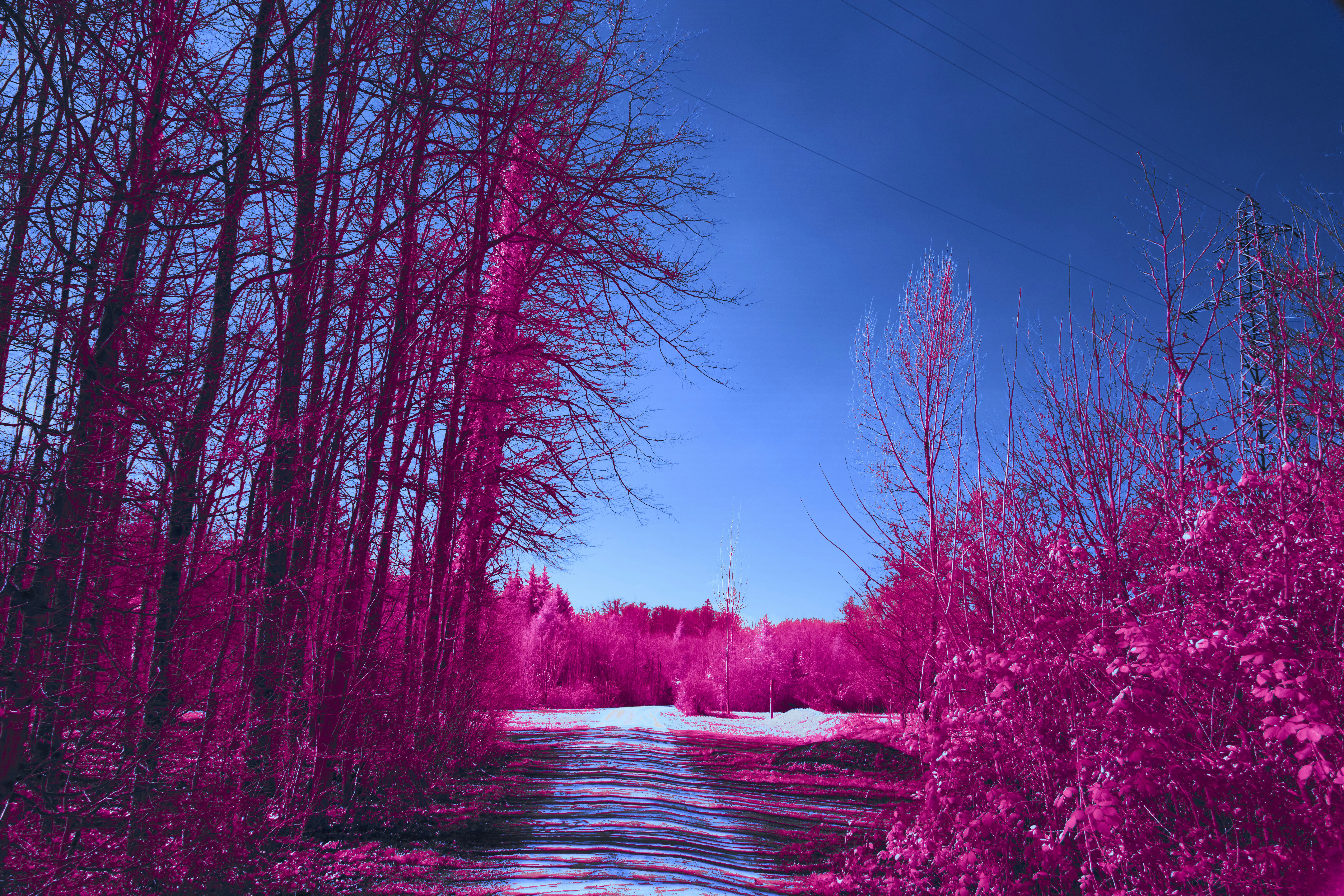 Photo by wolfgang_hasselmann