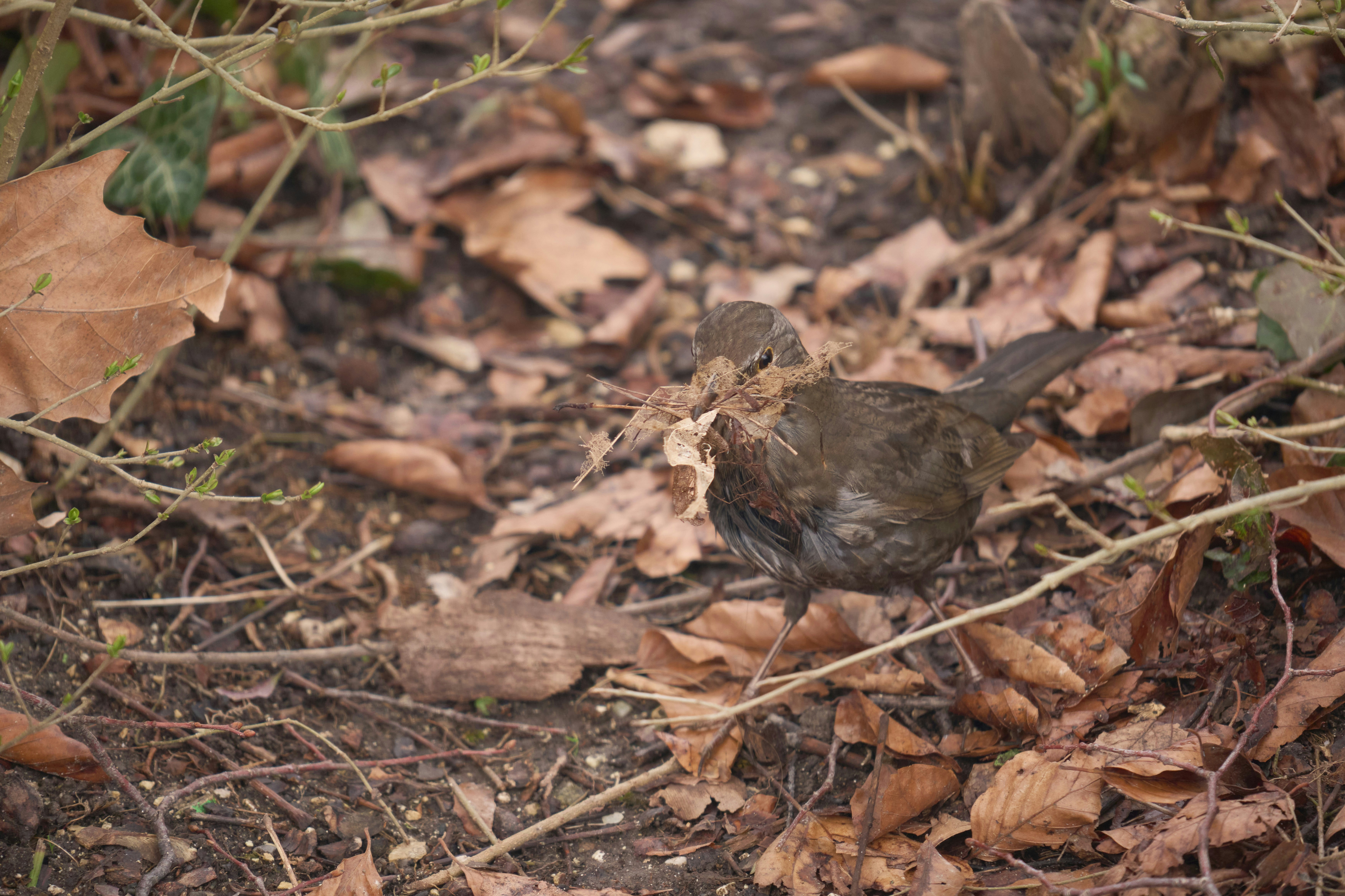 Photo by wolfgang_hasselmann