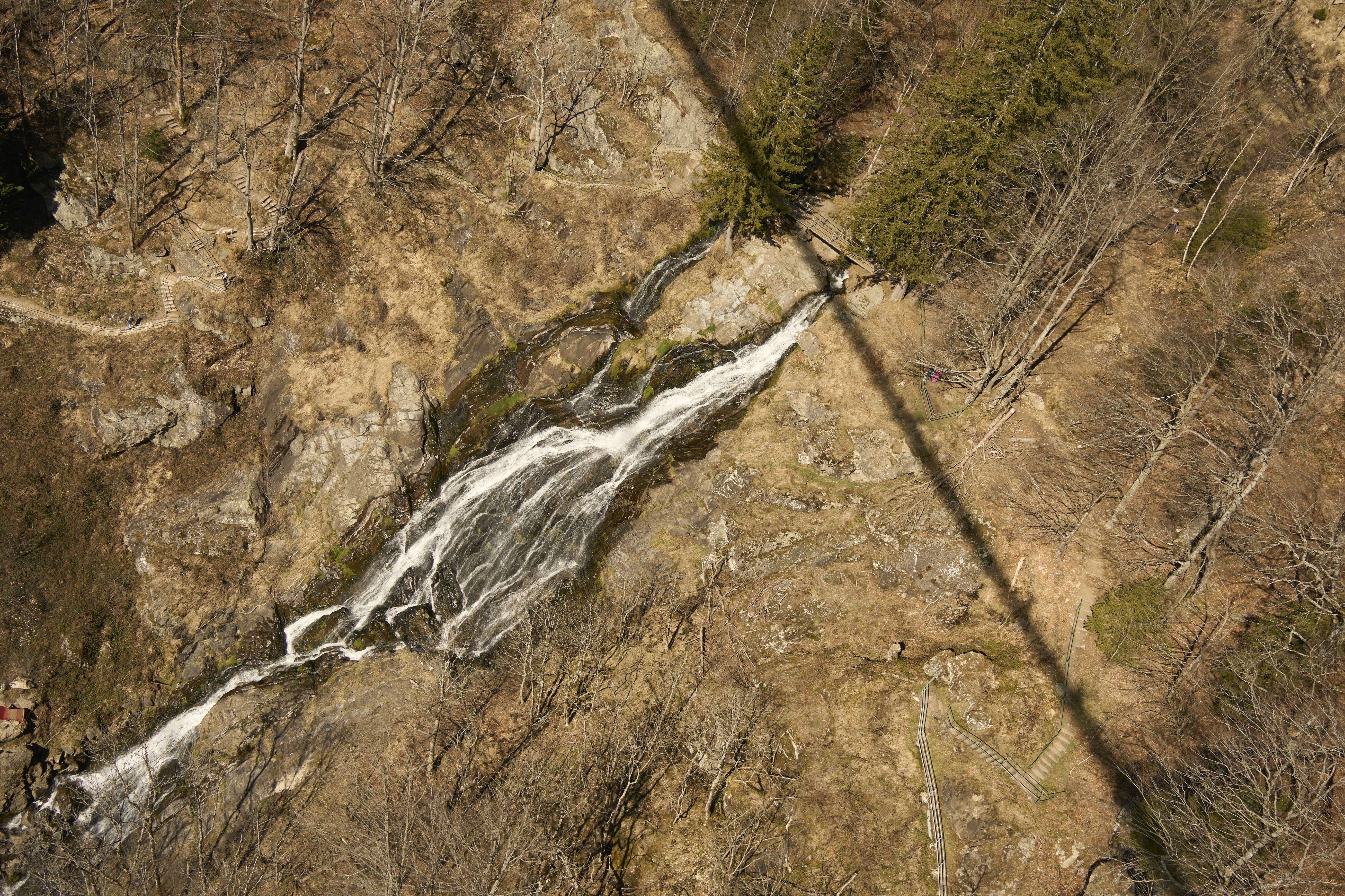 Photo by wolfgang_hasselmann