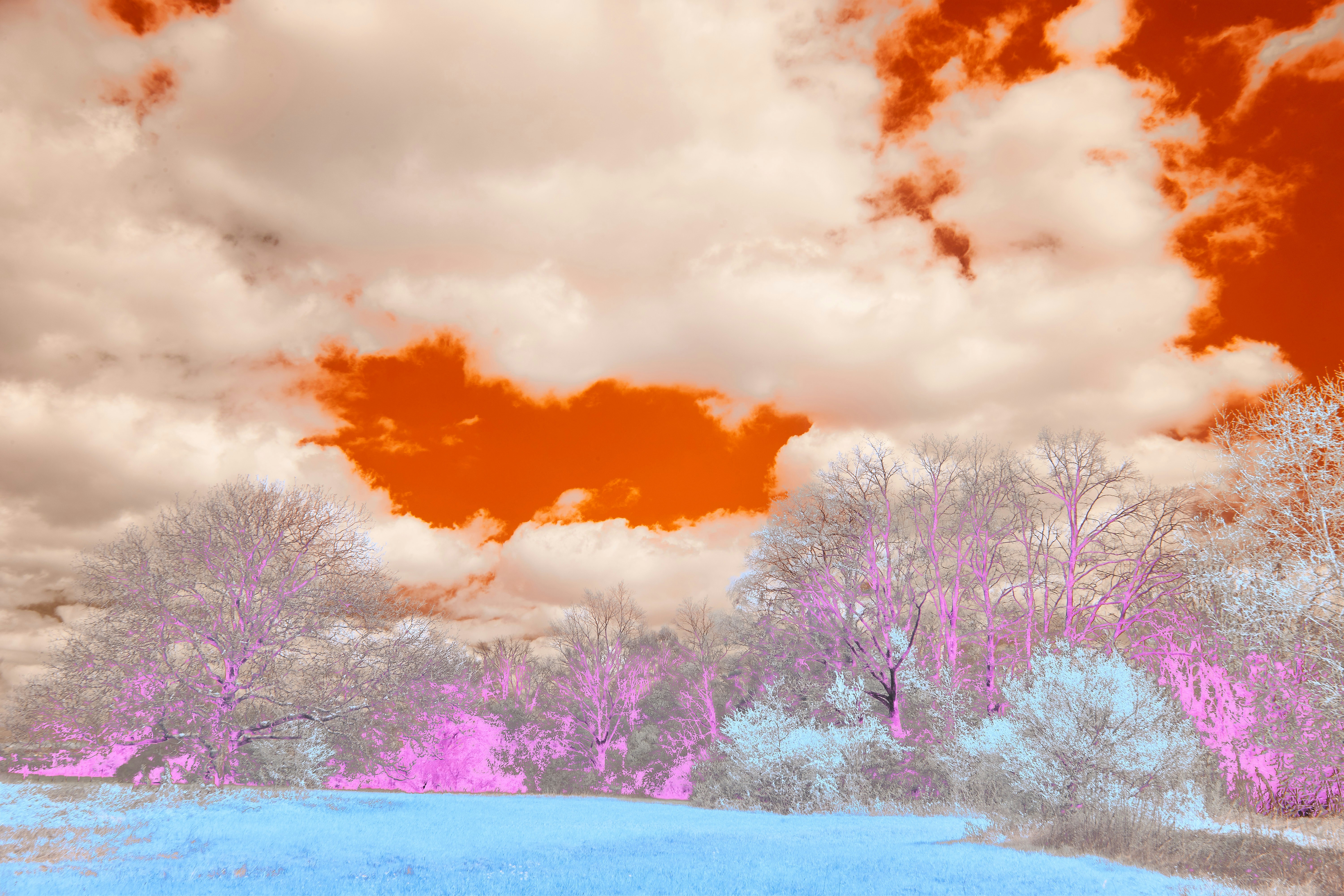 Photo by wolfgang_hasselmann