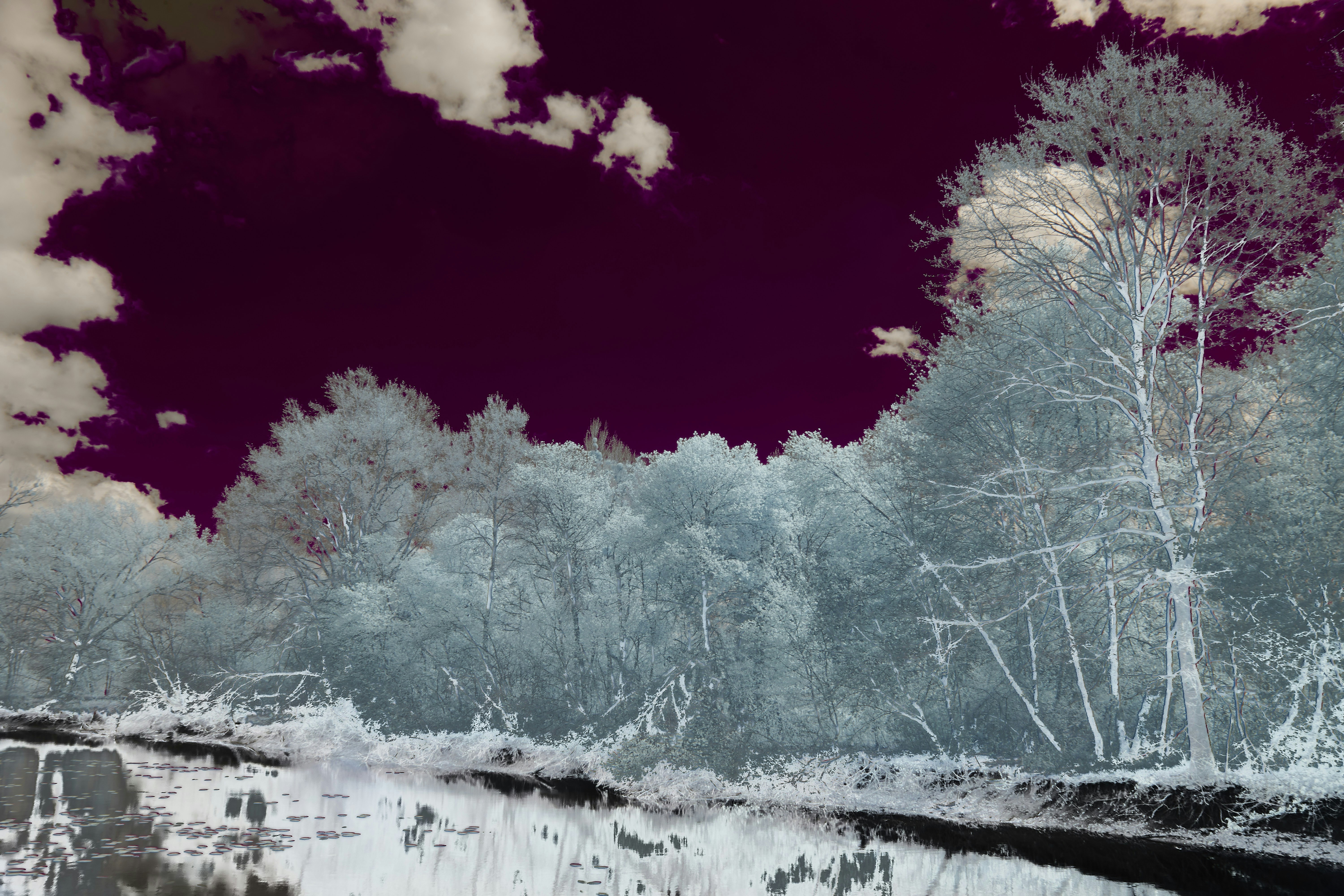 Photo by wolfgang_hasselmann