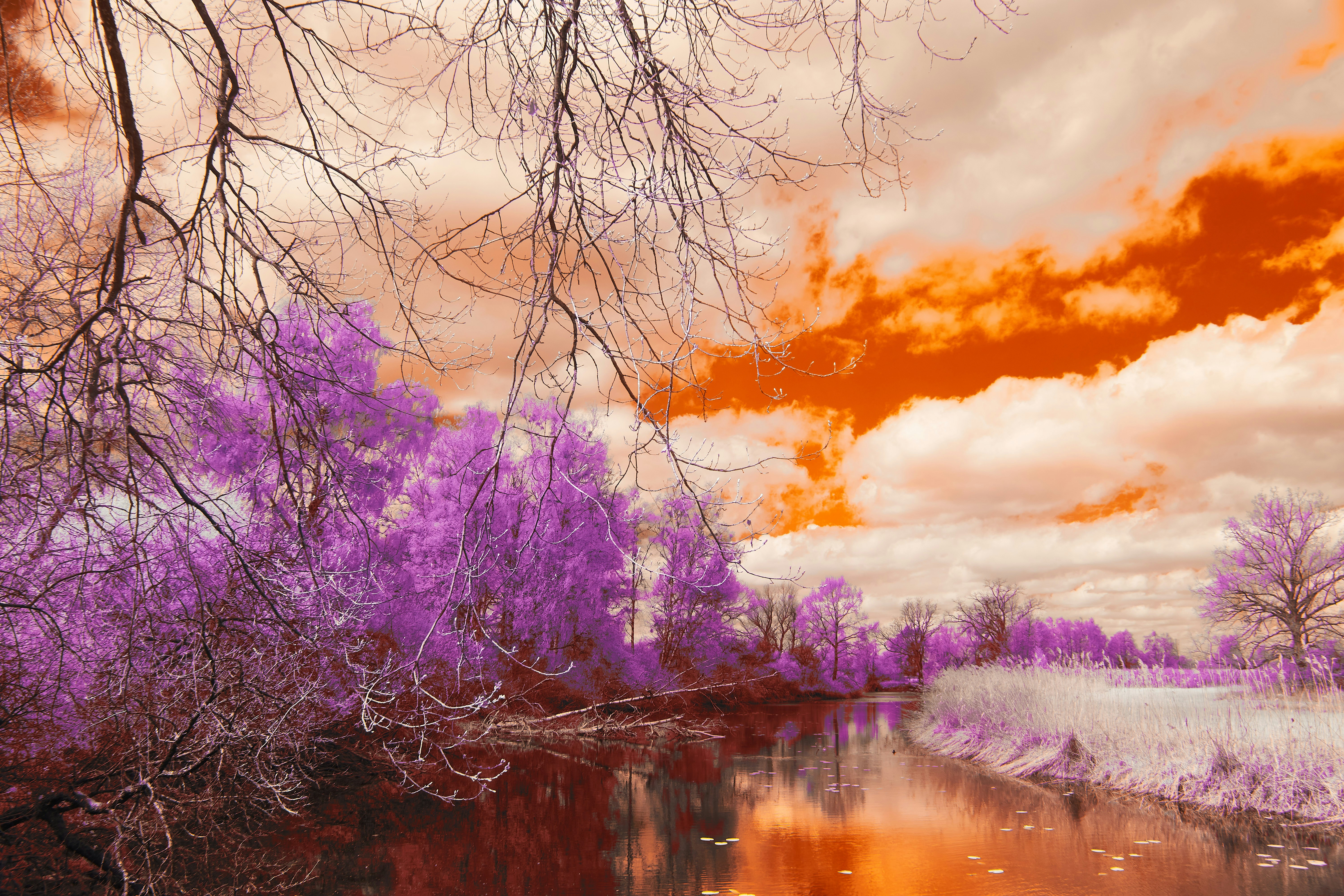 Photo by wolfgang_hasselmann