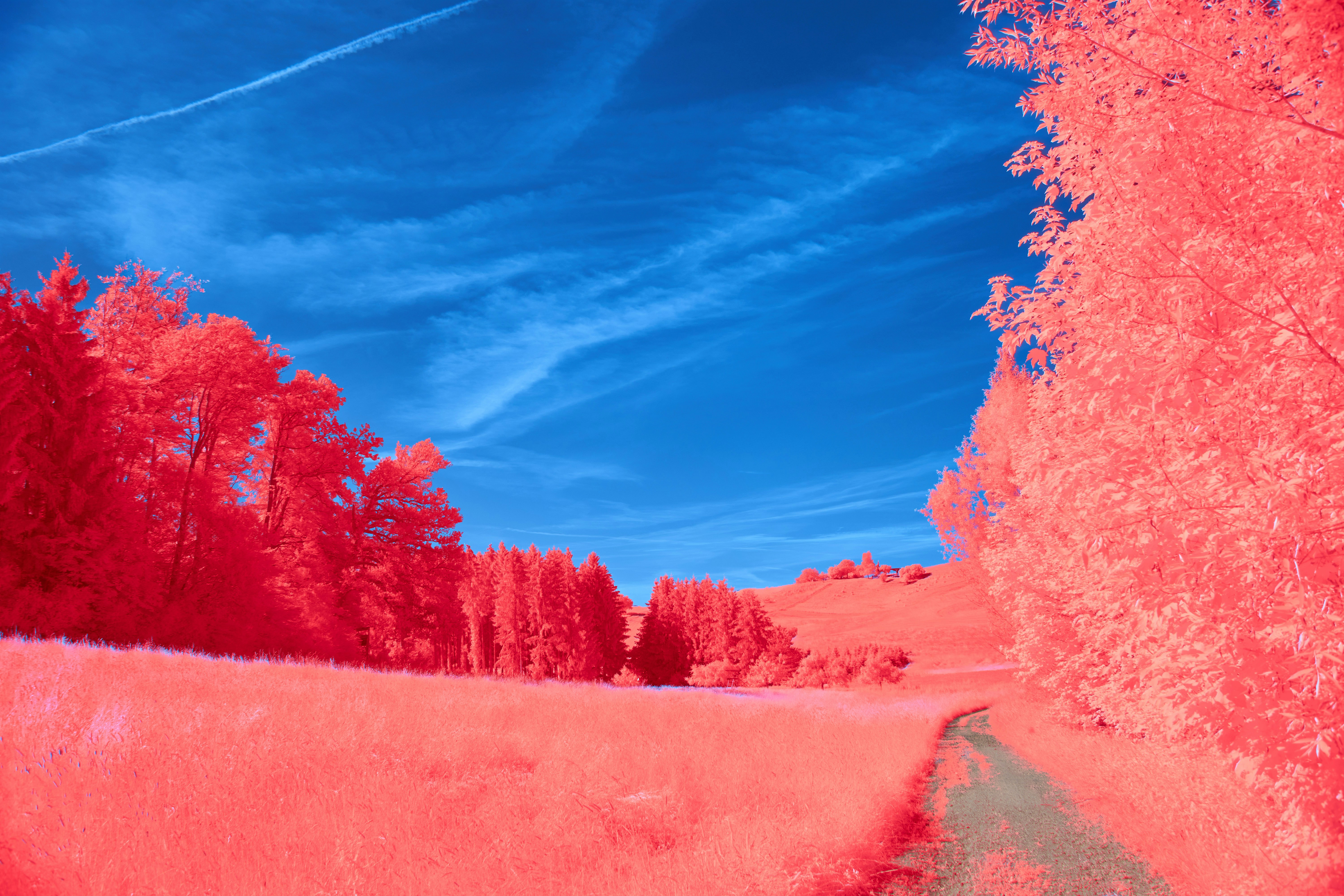 Photo by wolfgang_hasselmann