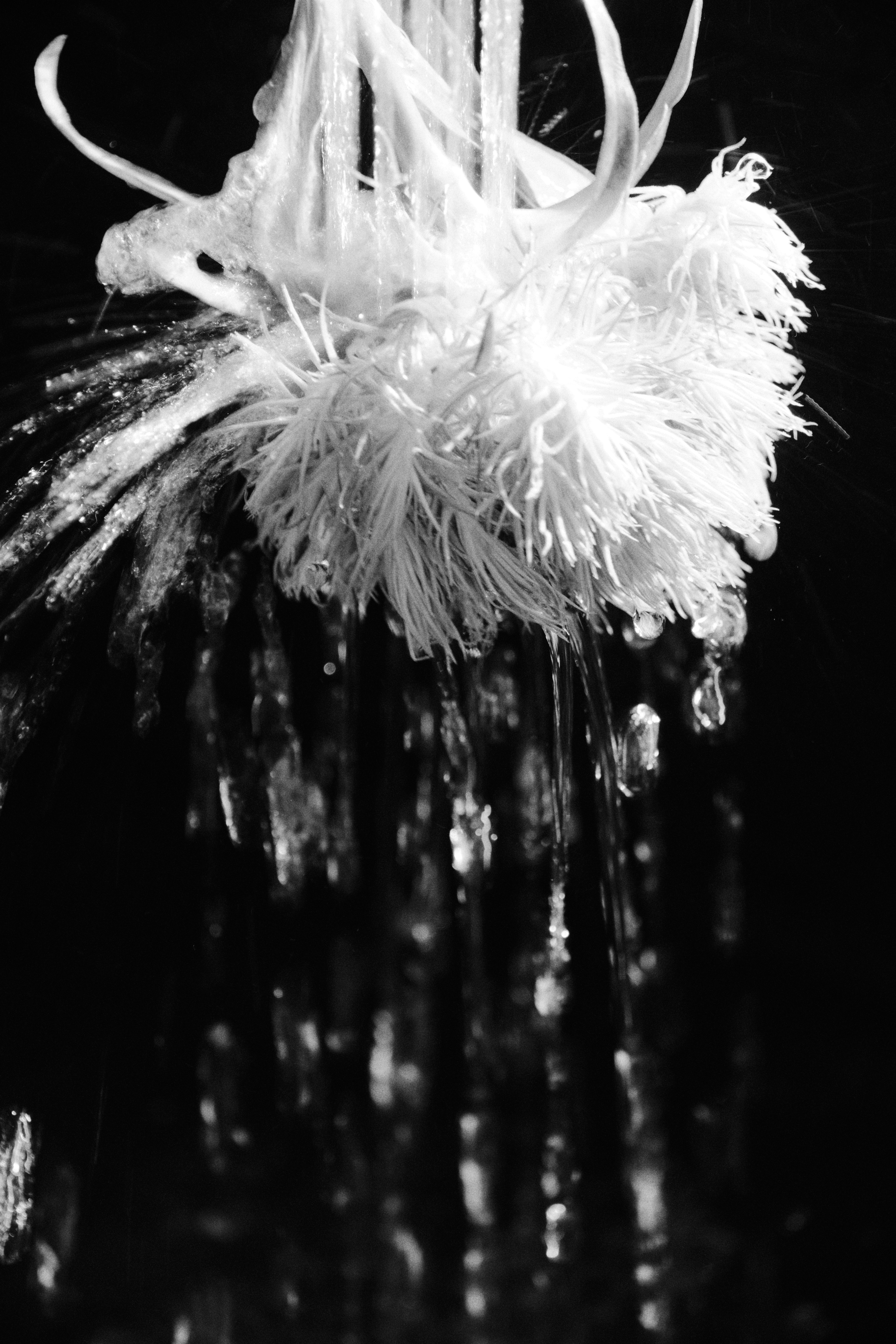 Wasser rieselt aus einer flauschigen, weißen Struktur.