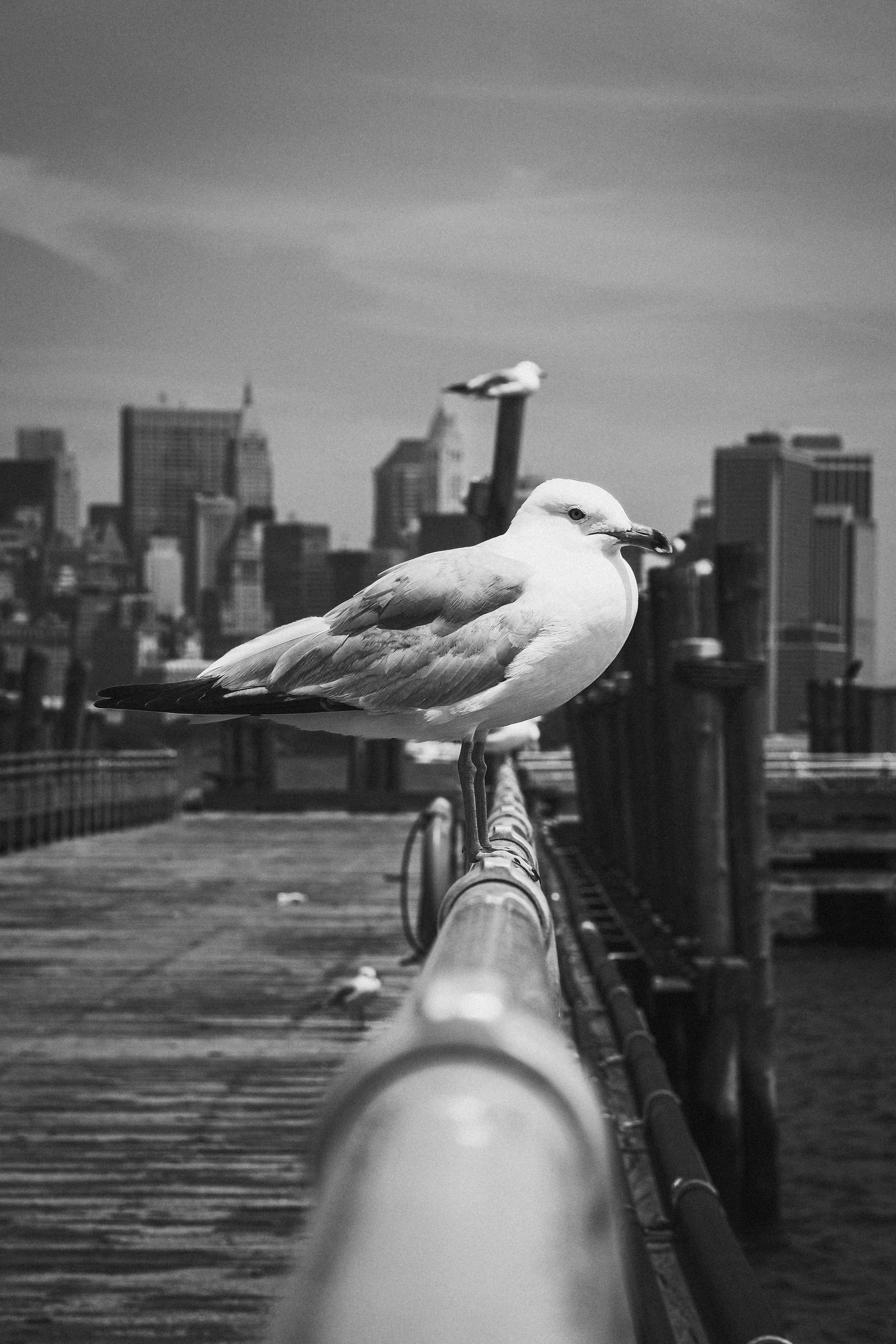 Photo by justalifein