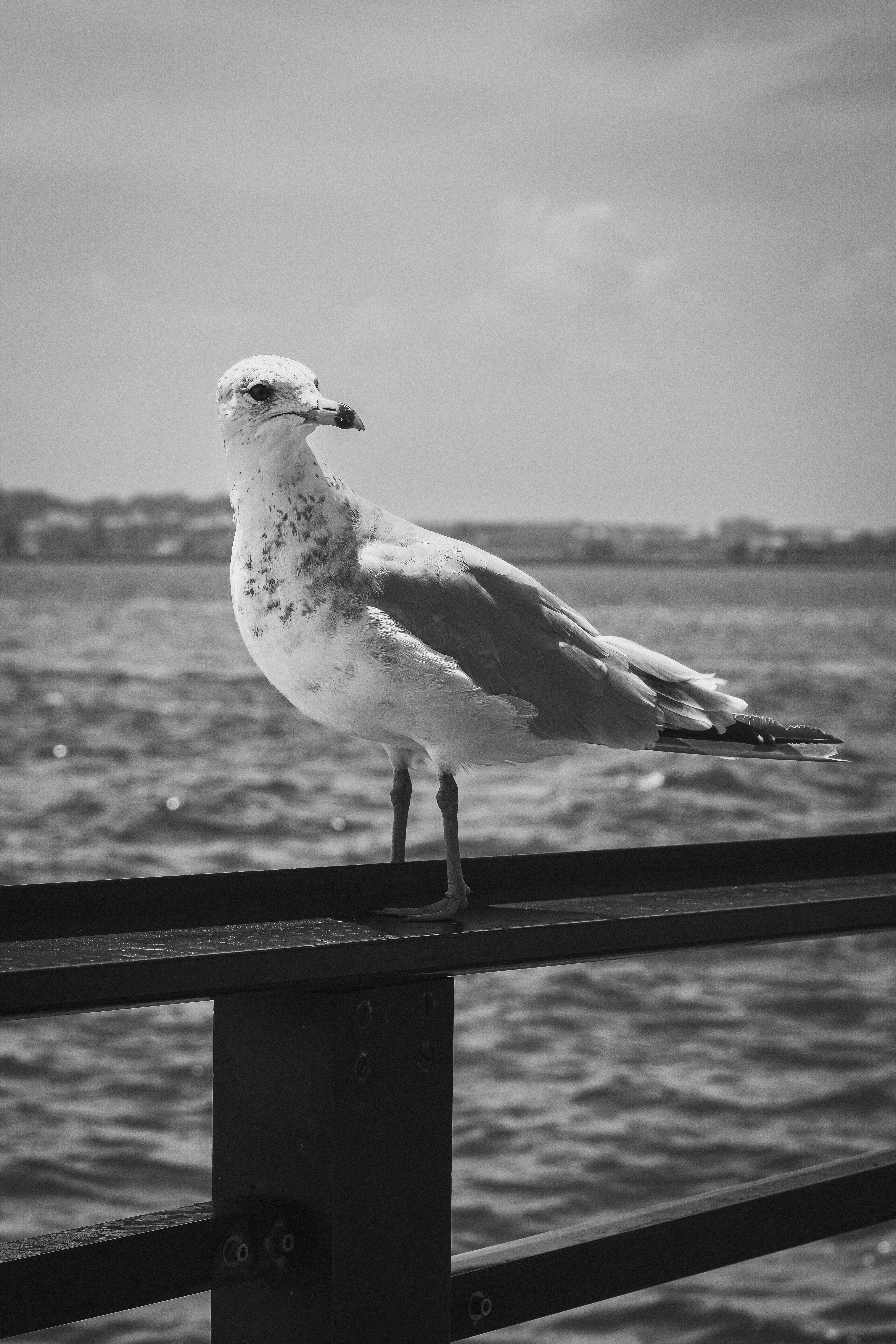 Photo by justalifein