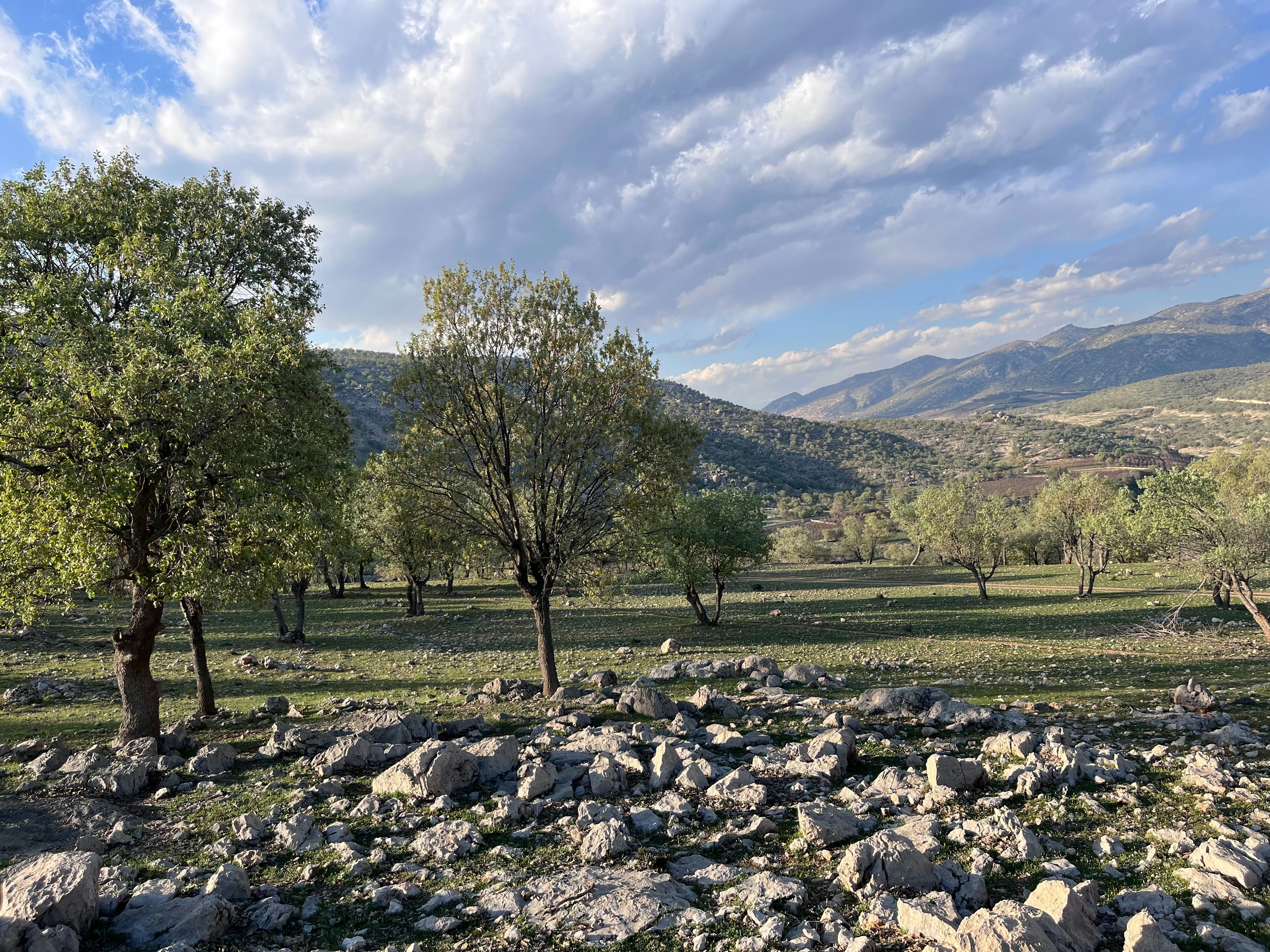Photo by amirvafa