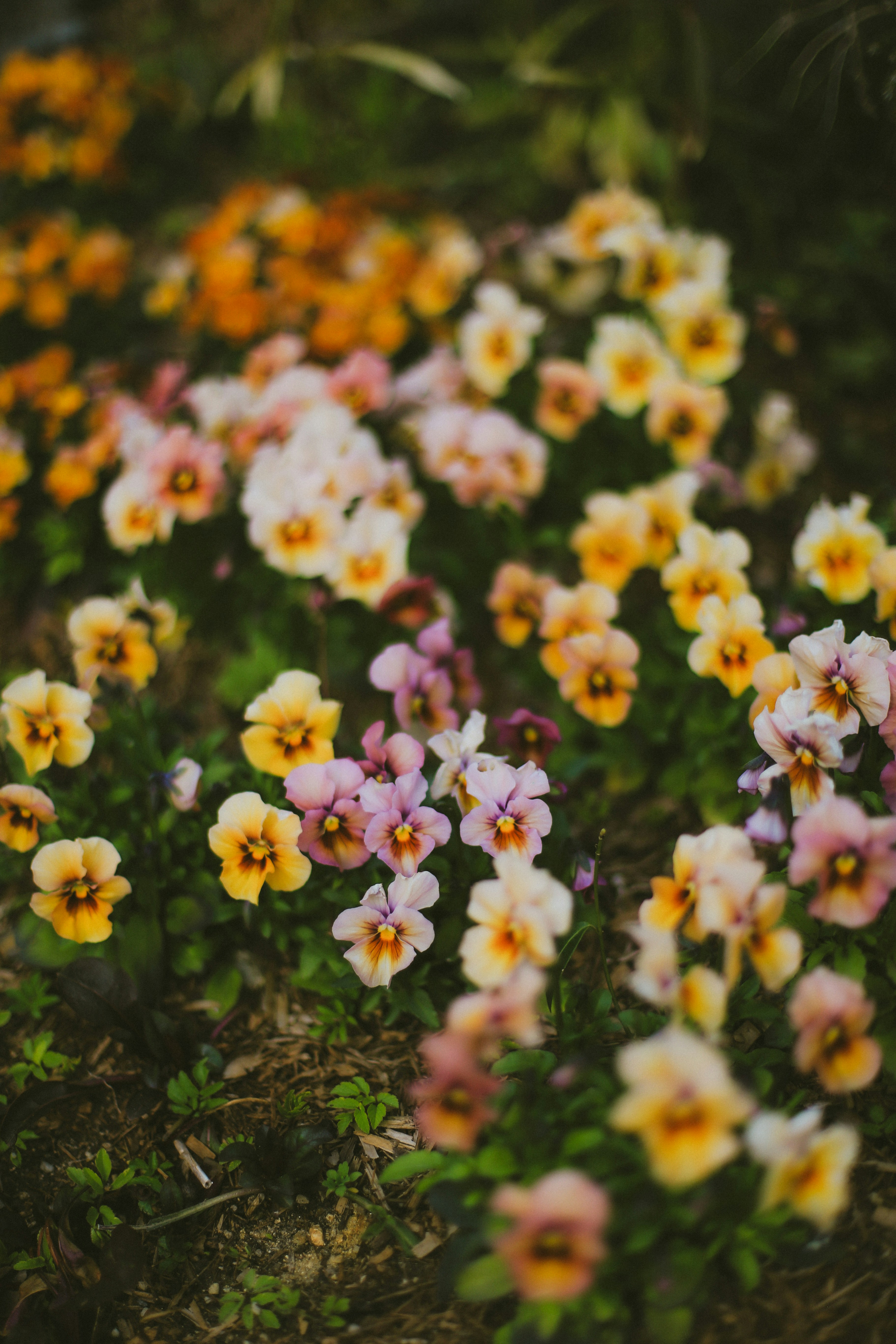 Photo by jessicalfadel