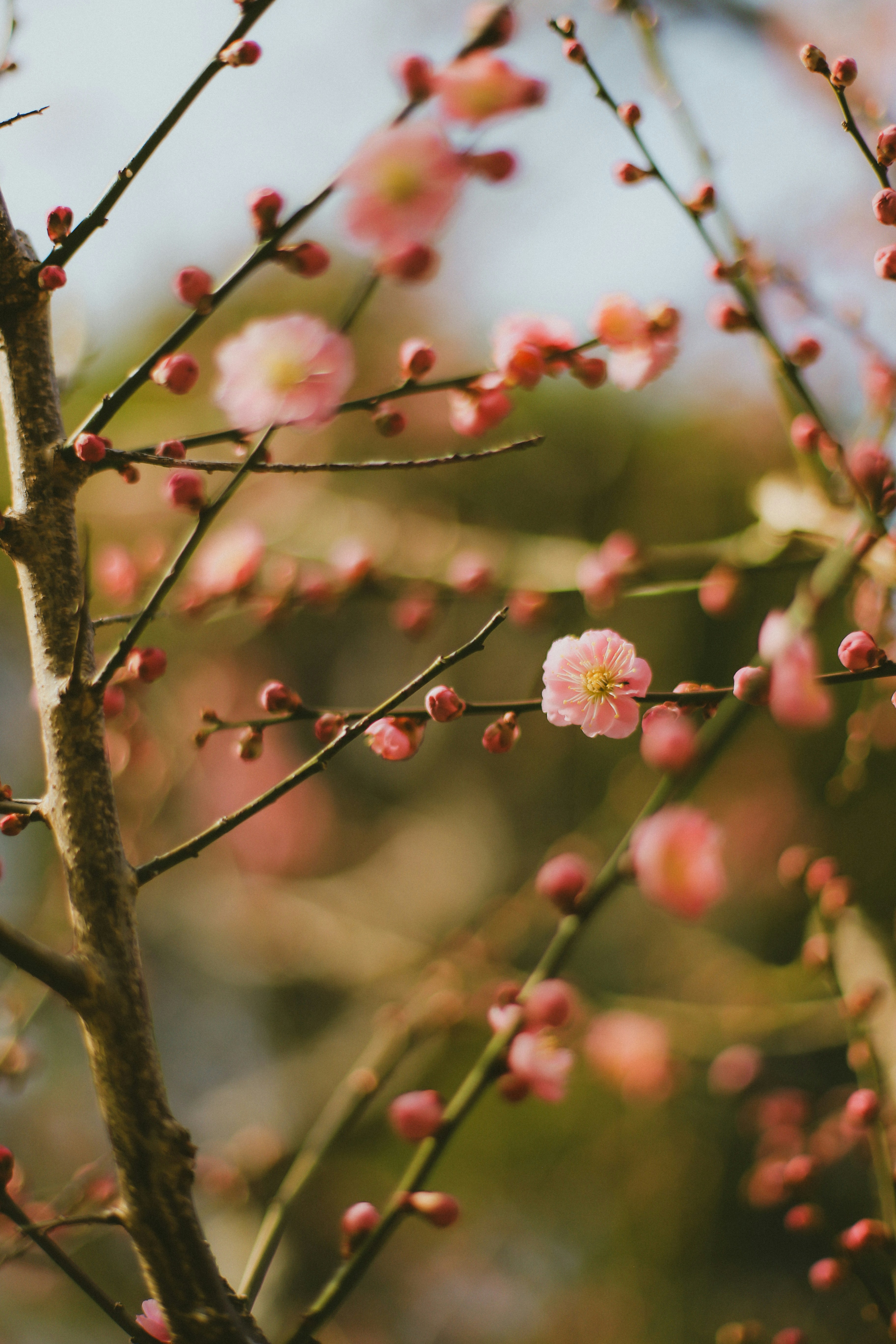 Photo by jessicalfadel