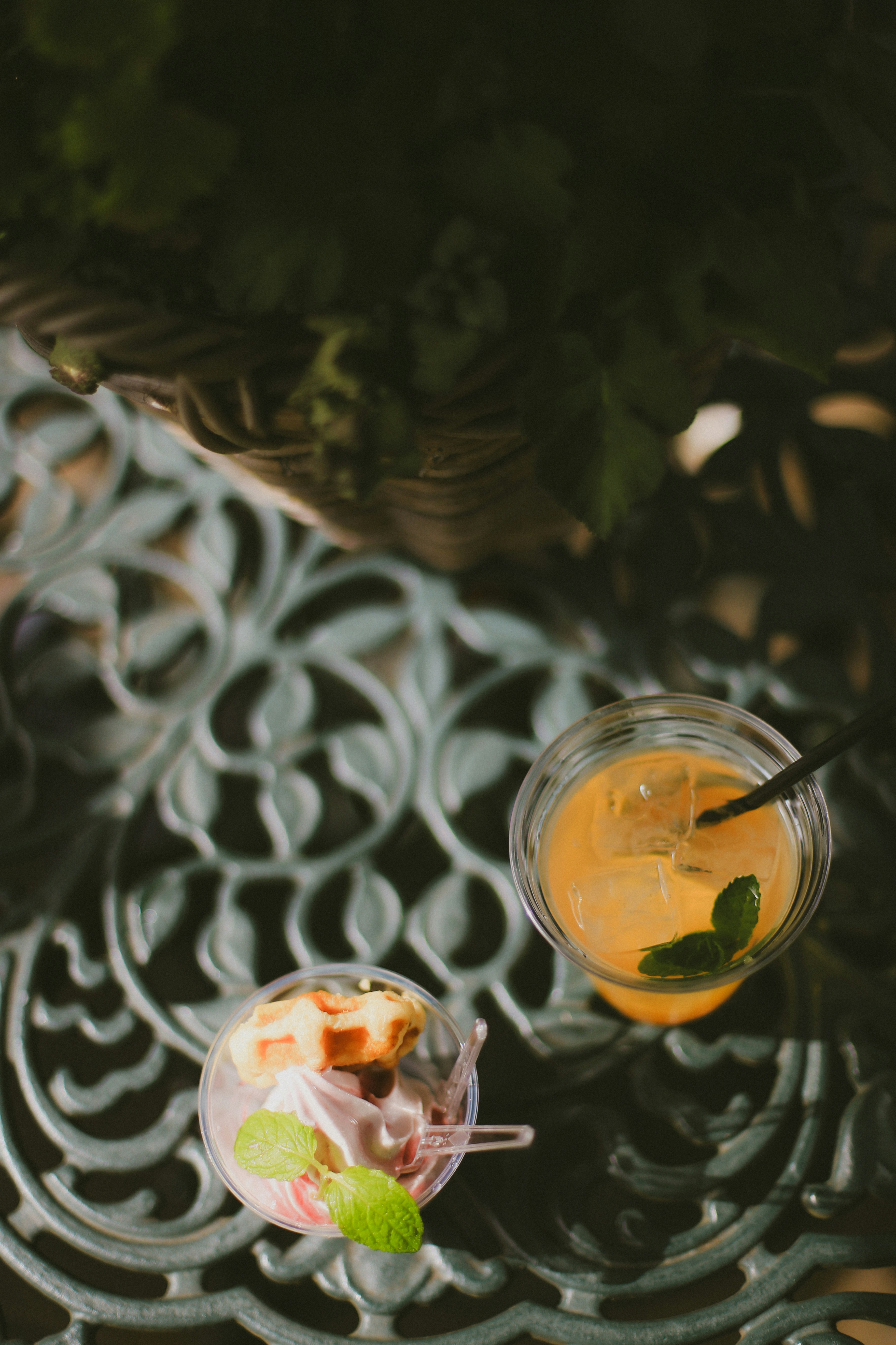 Photo by jessicalfadel