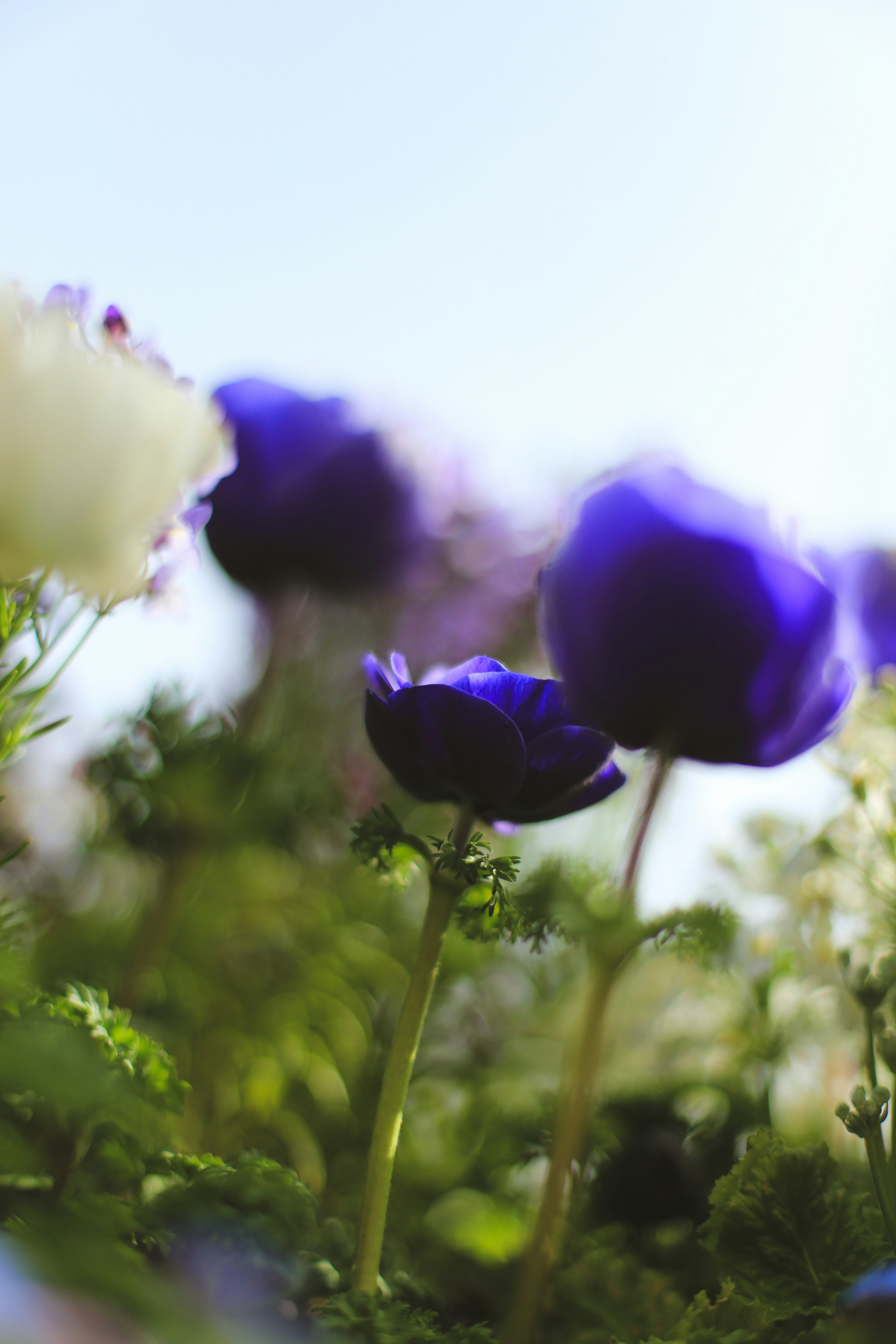 Photo by jessicalfadel