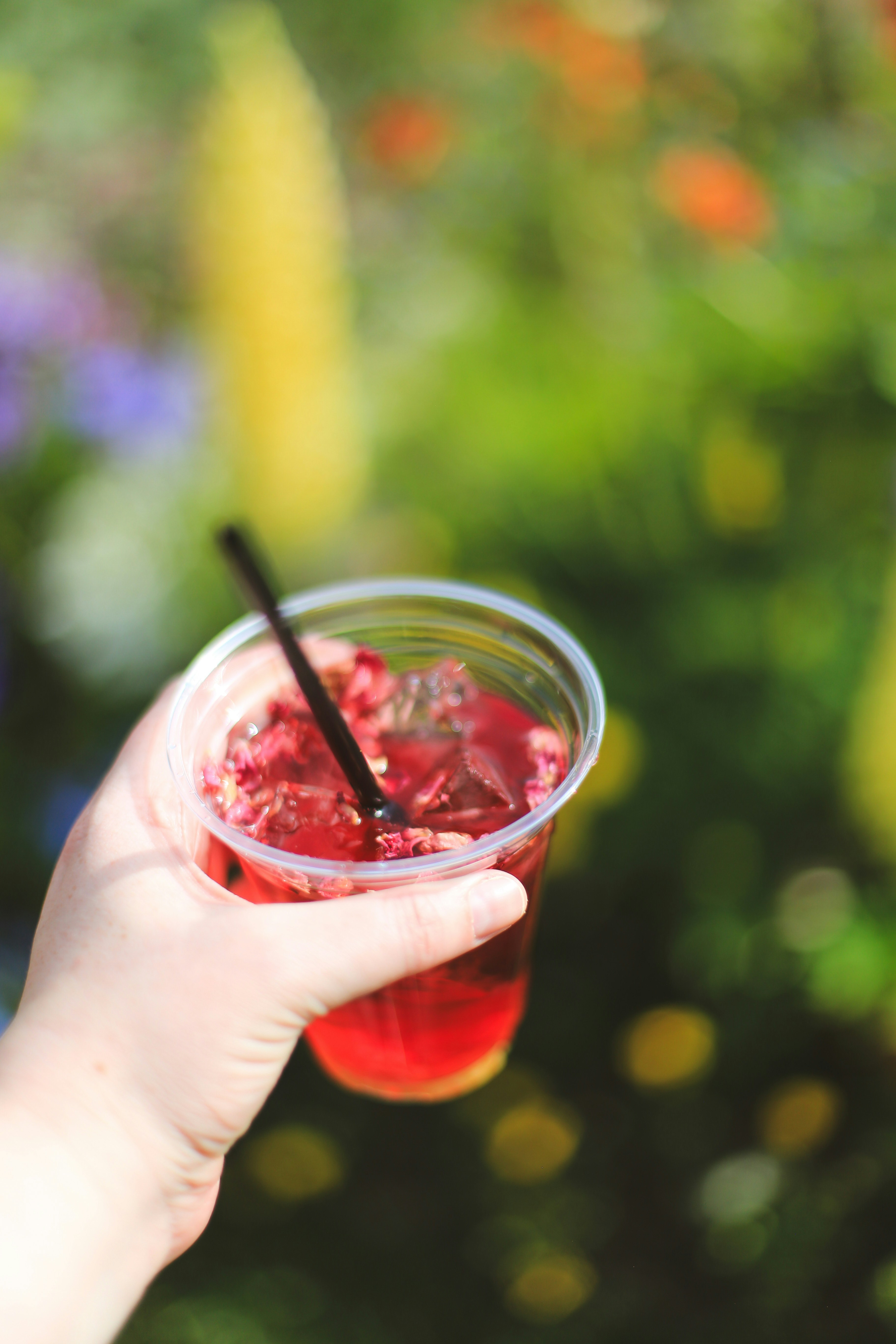 Photo by jessicalfadel