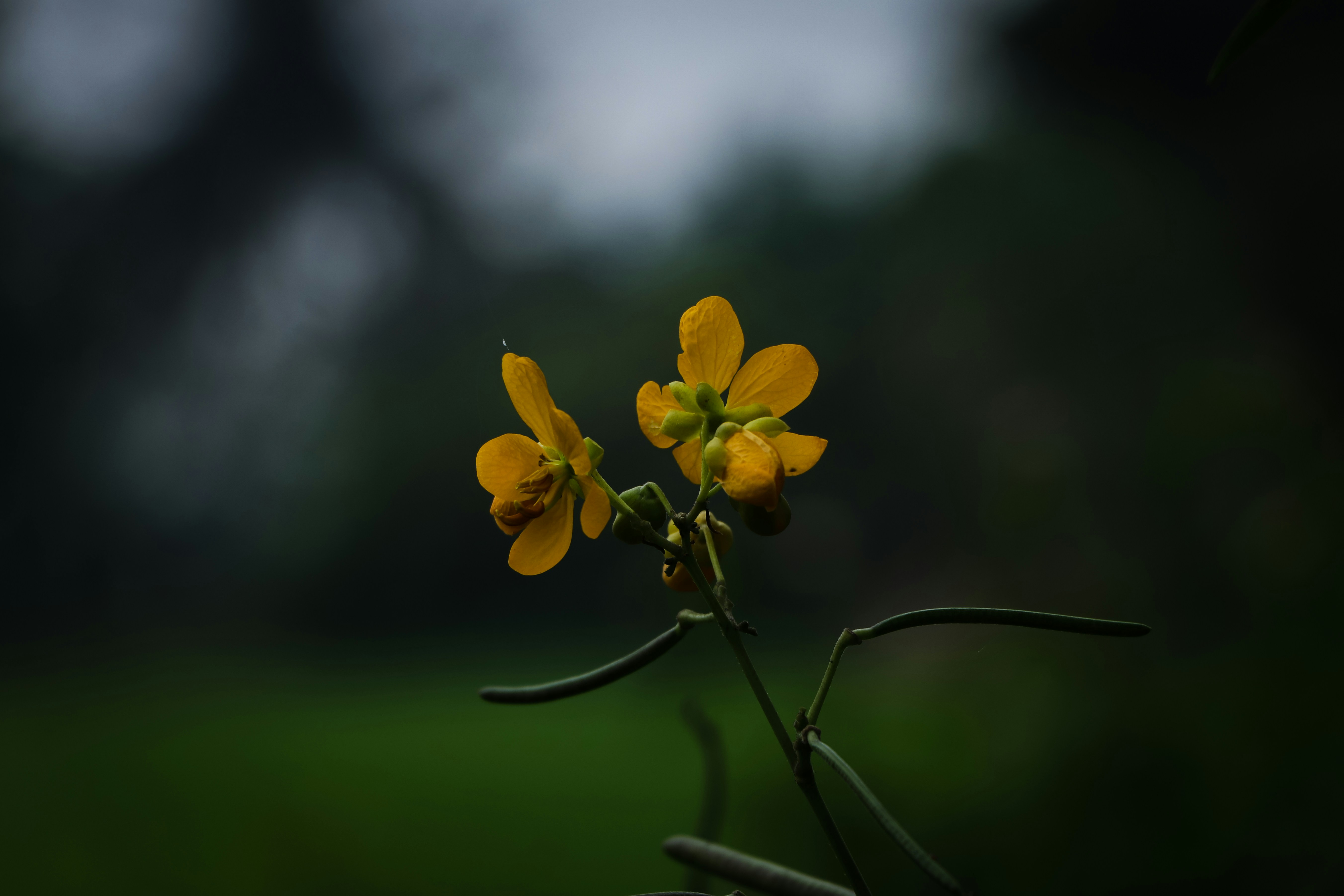 Photo by adventurelife24