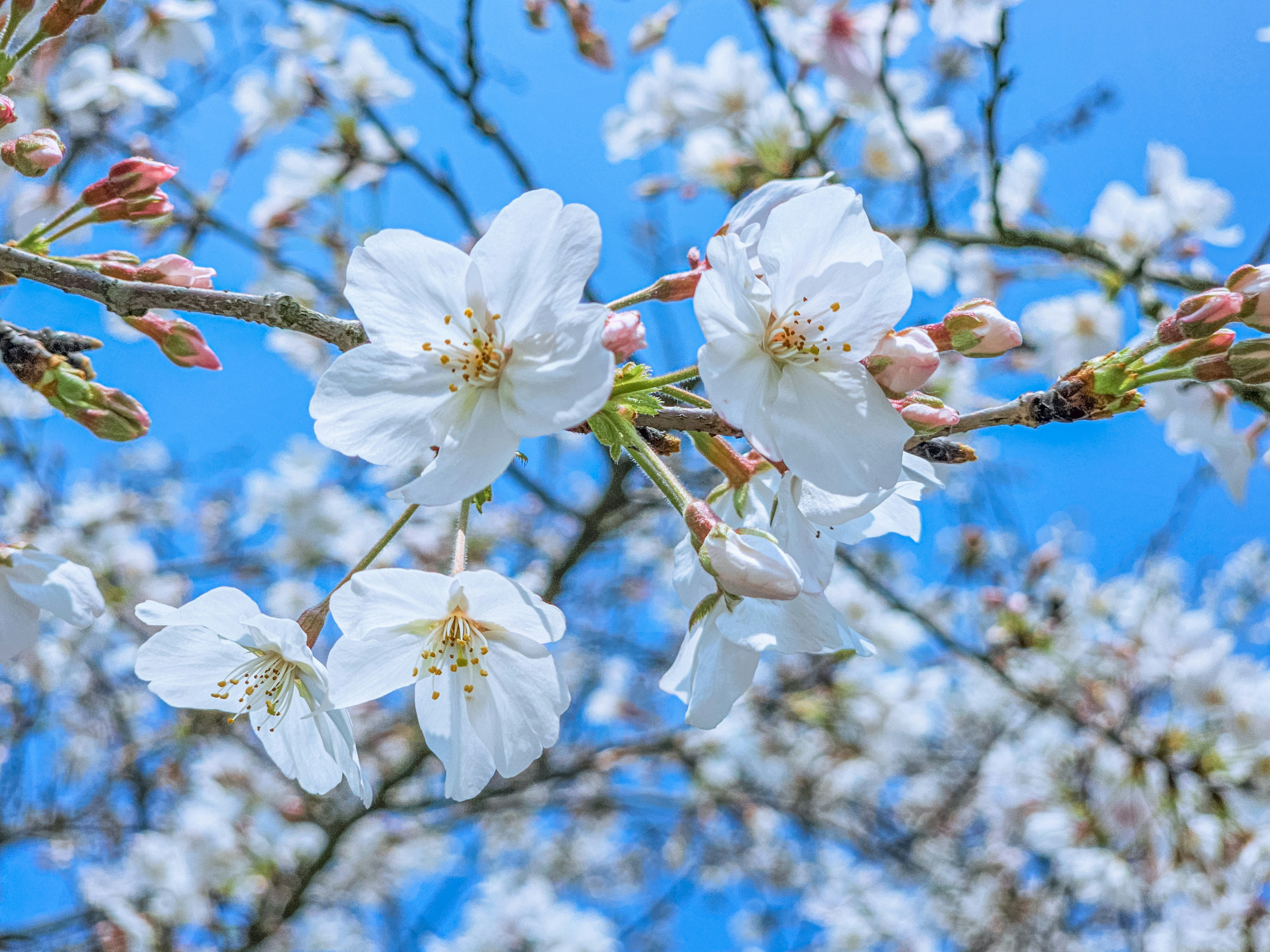 Photo by hypocriteeeee