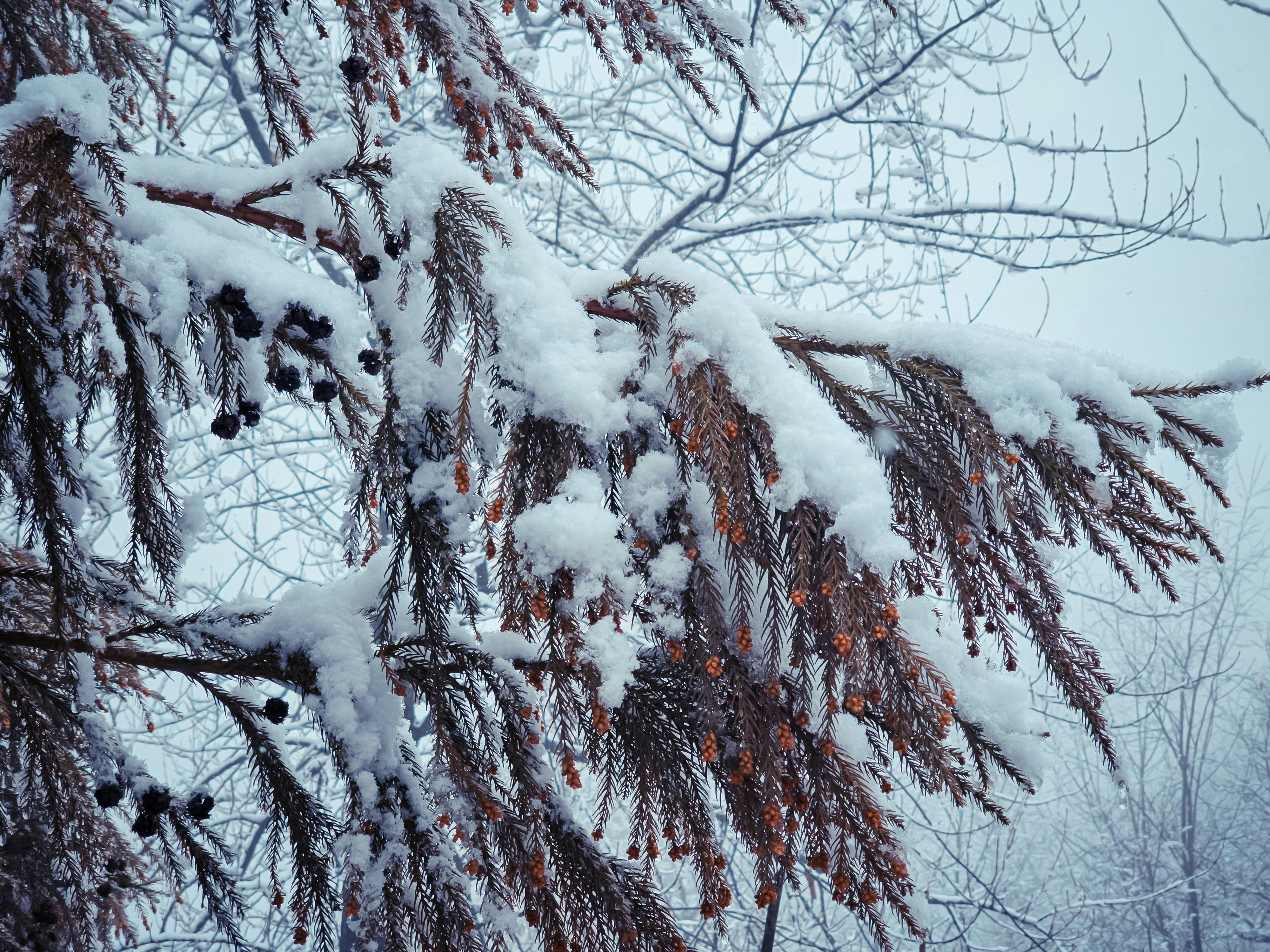 Photo by hypocriteeeee