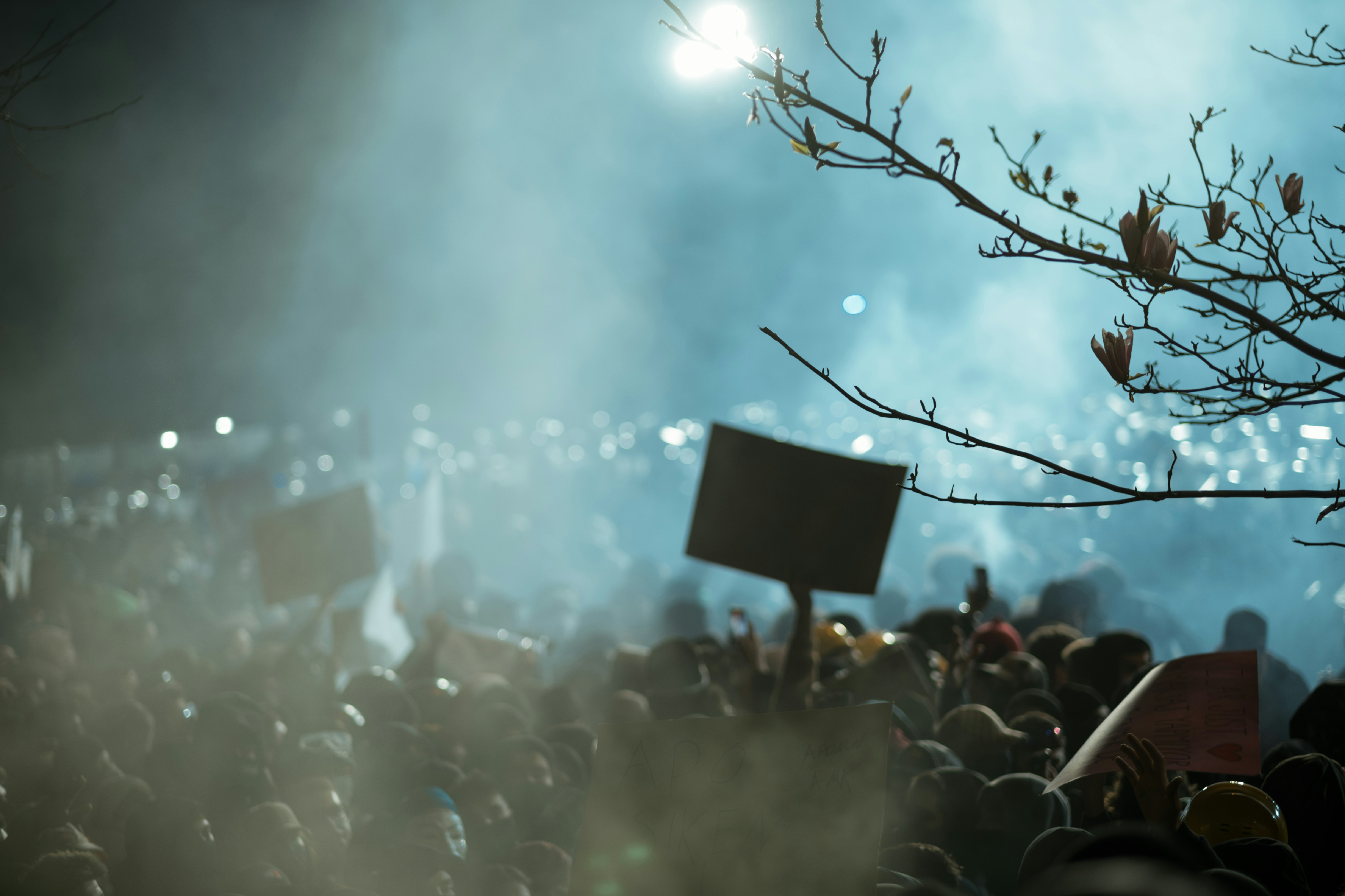 Photo by iammahmutyildiz