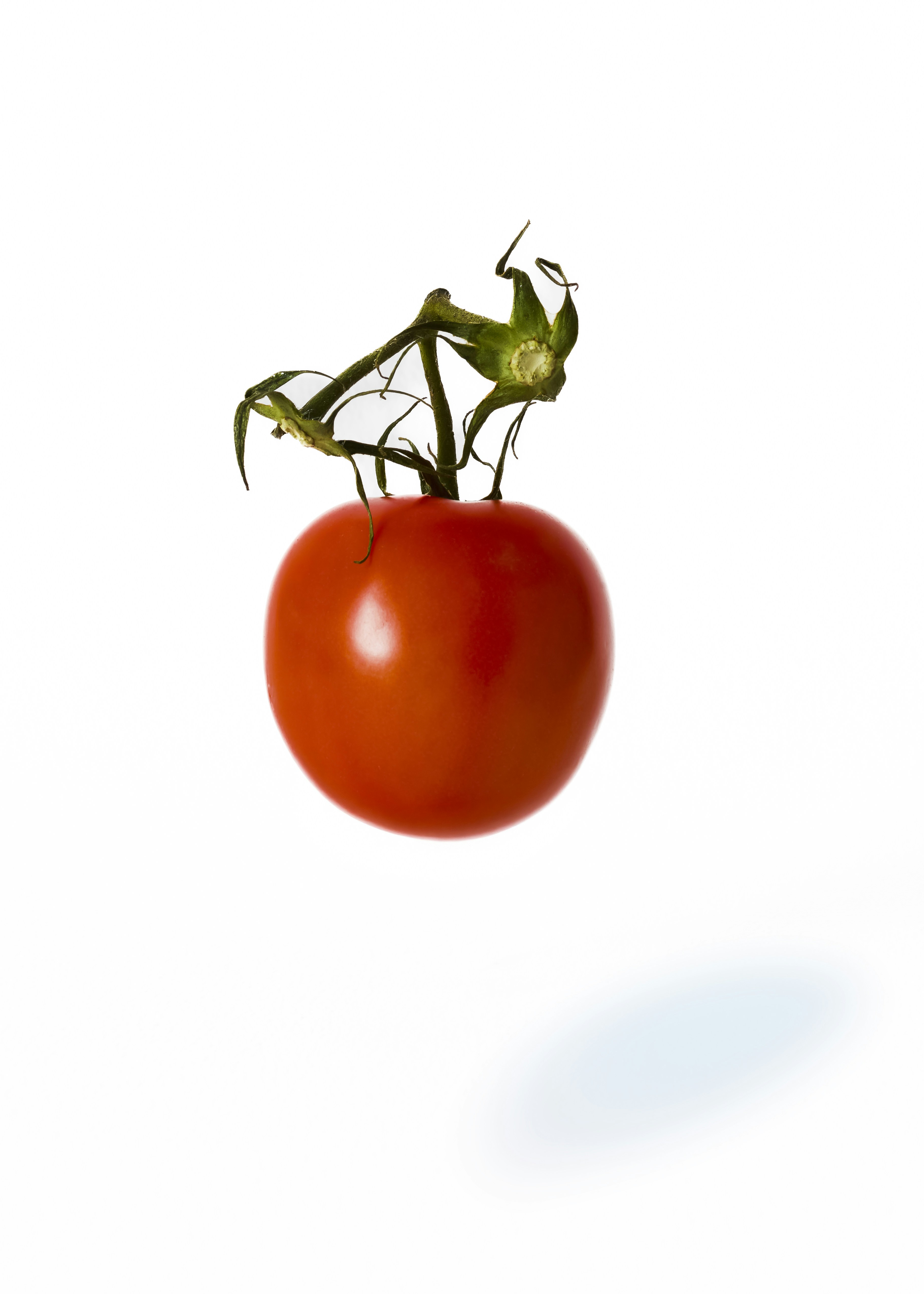 Photo by sapporo2025