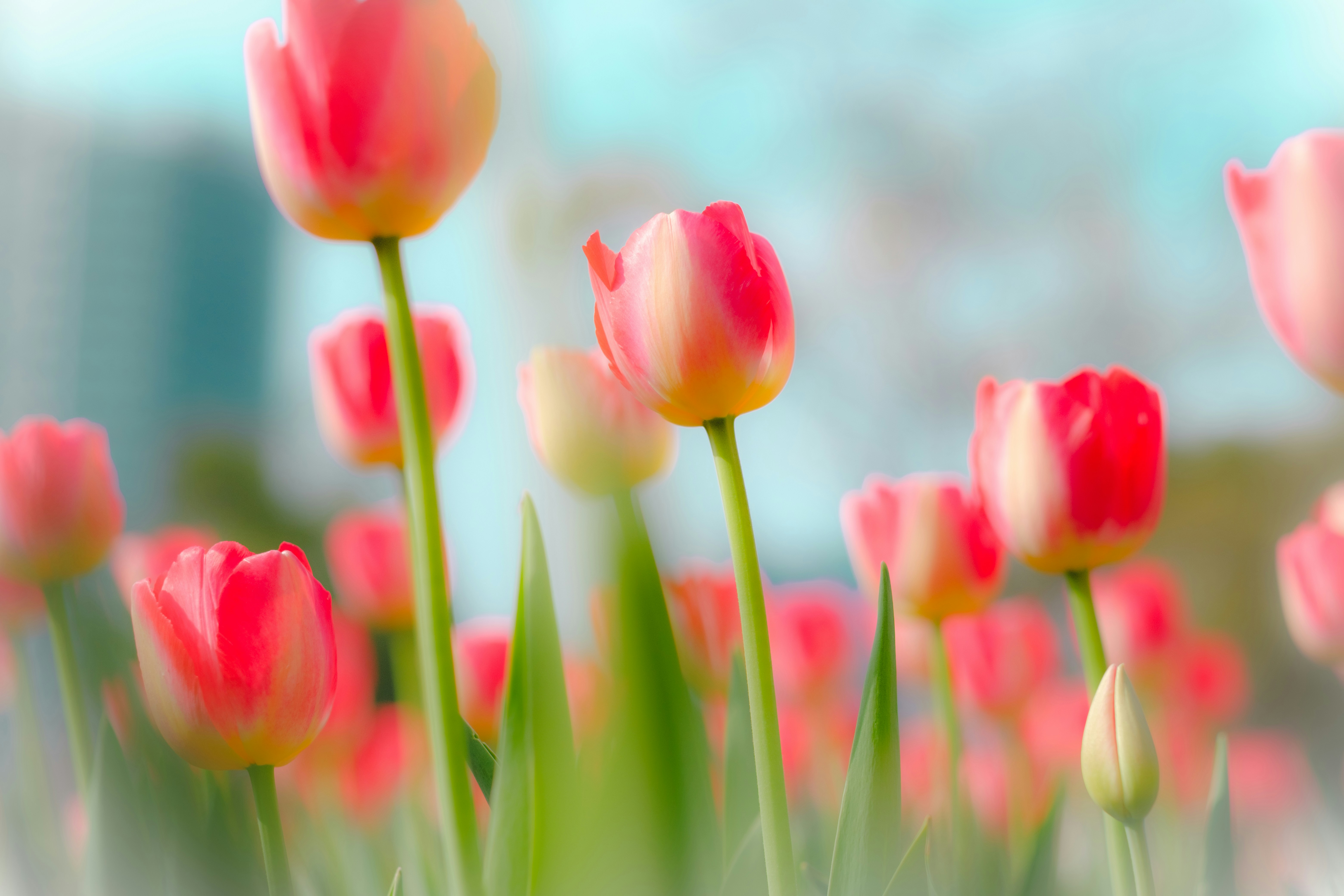 Photo by wenhao_ruan