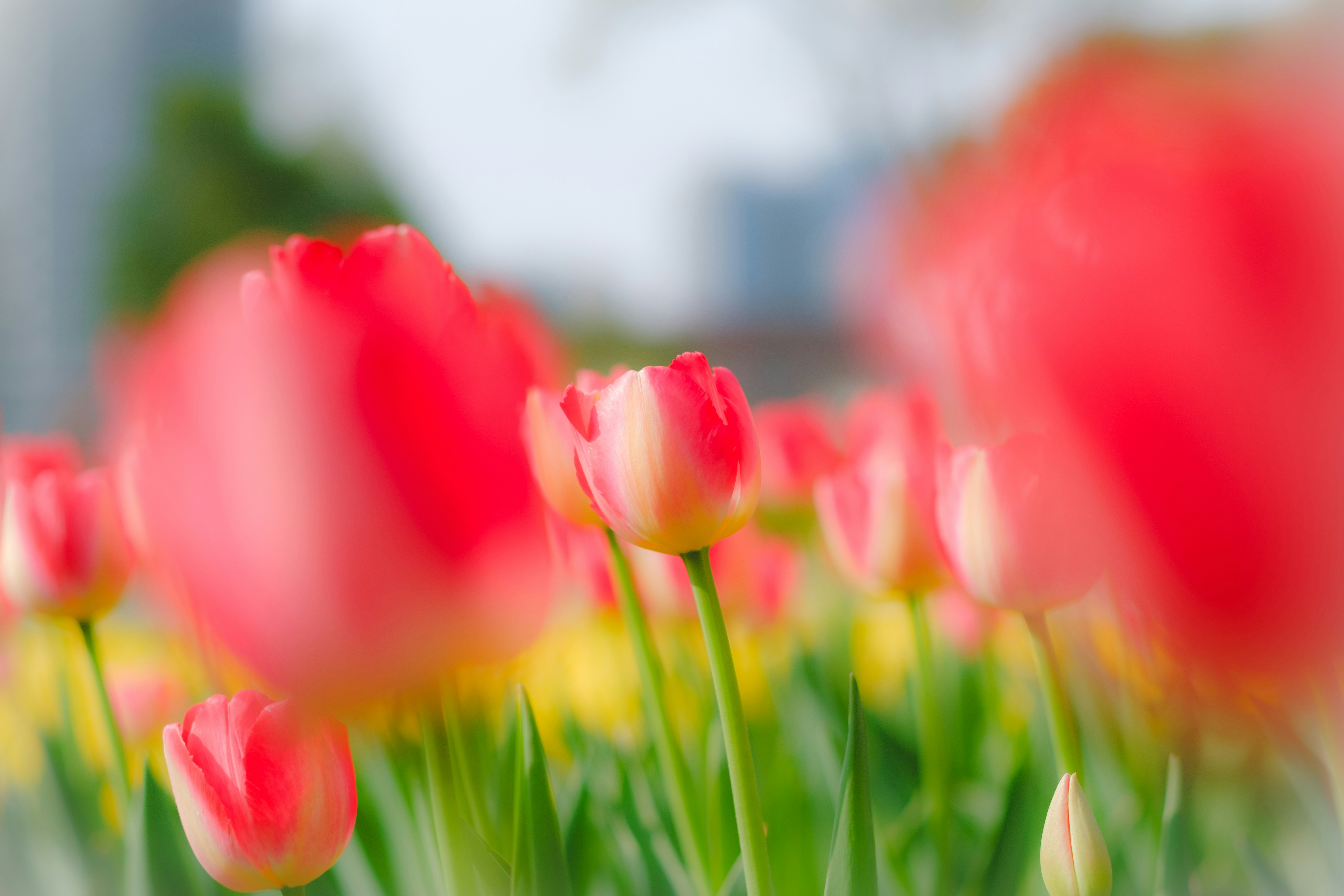 Photo by wenhao_ruan