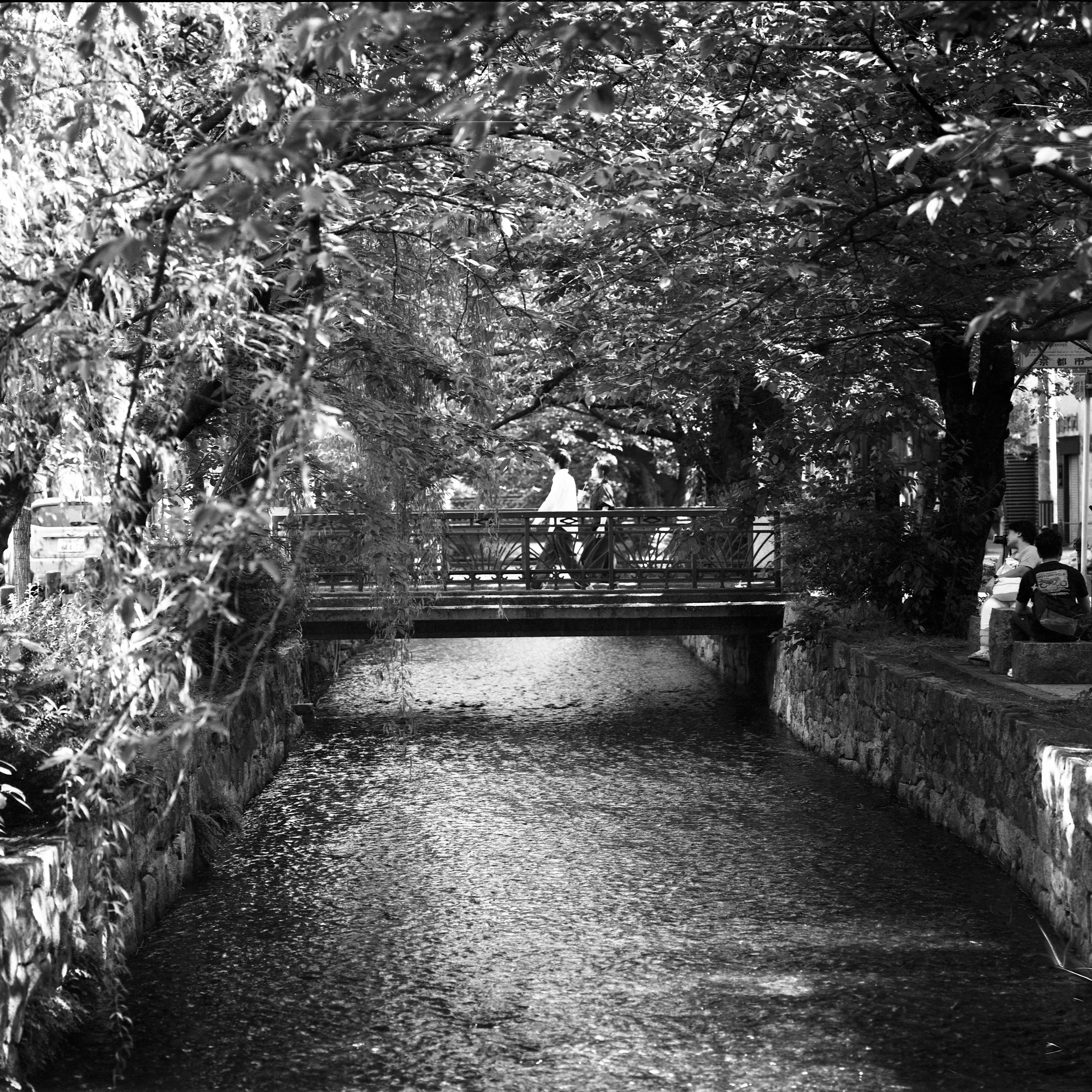 Photo by doudouxieonline