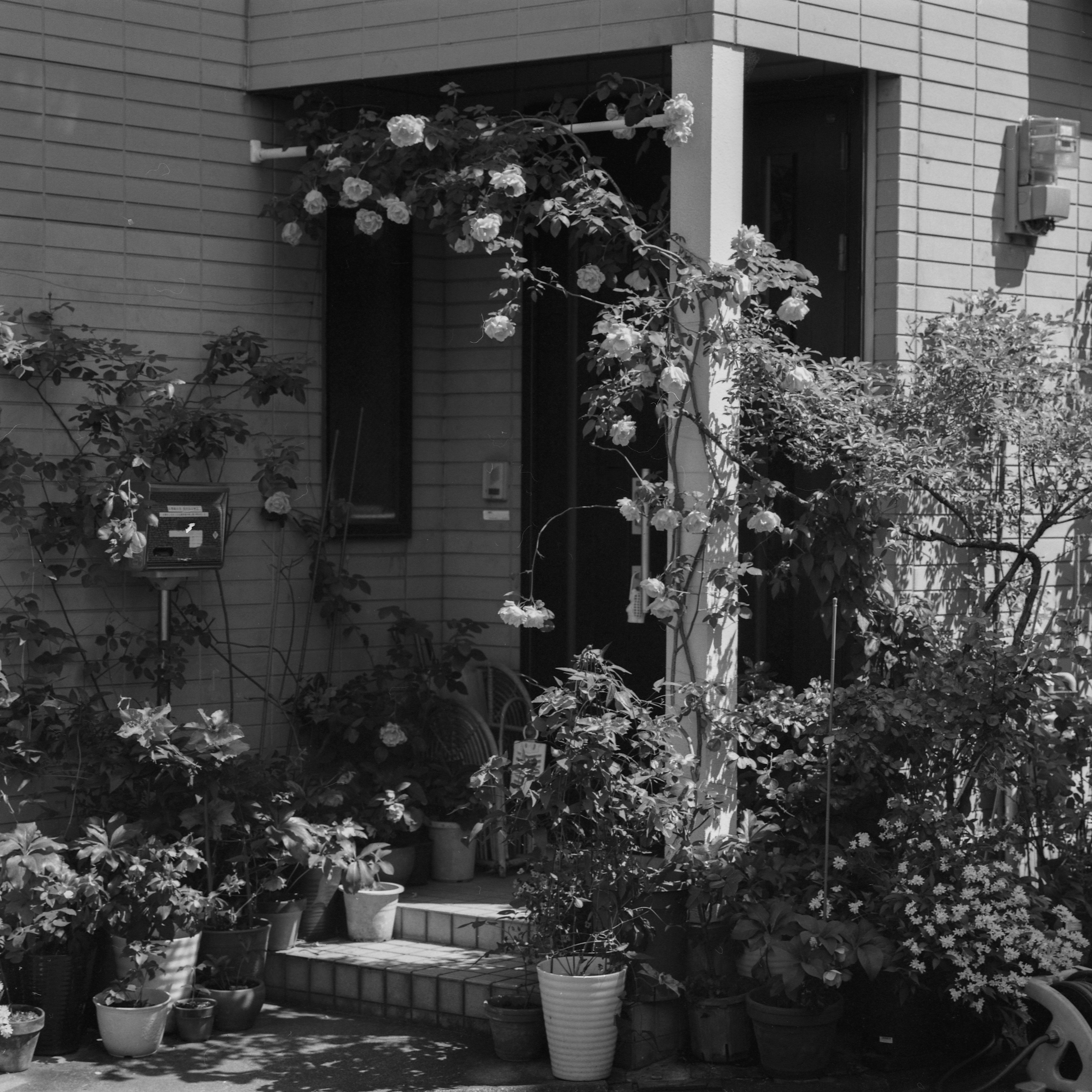 Photo by doudouxieonline