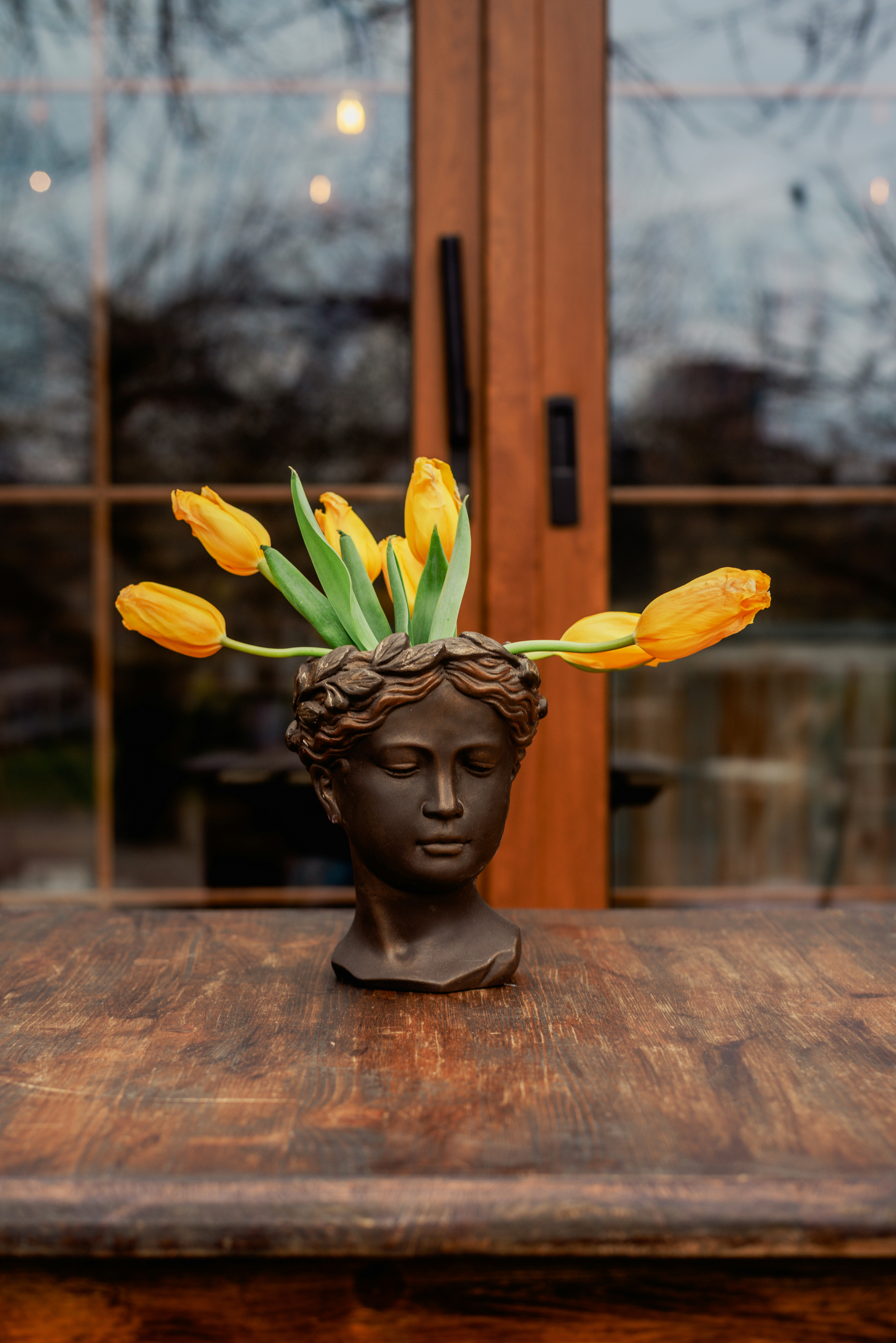 Yellow tulips bloom from a bust planter.