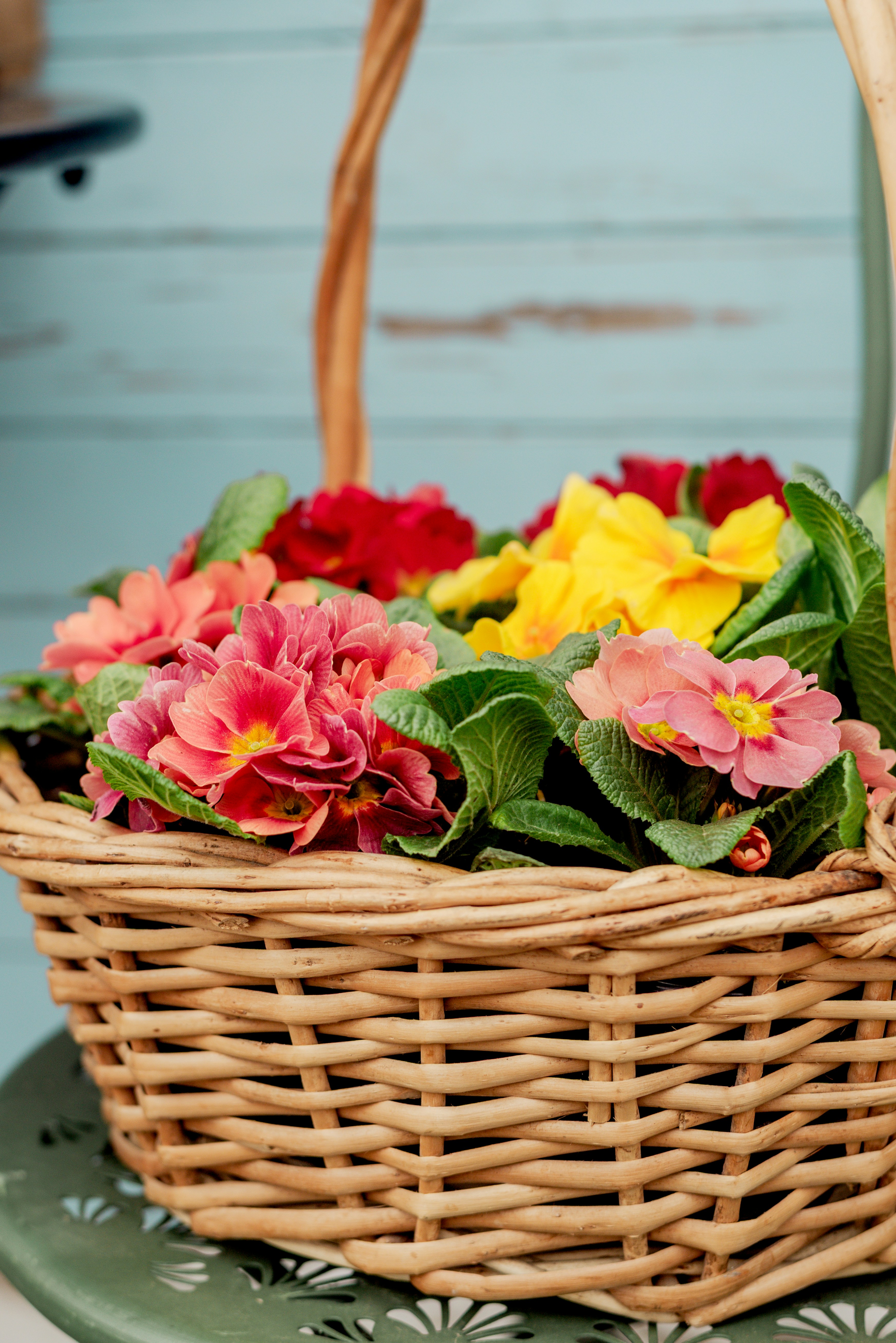 Photo by eugenivy_now