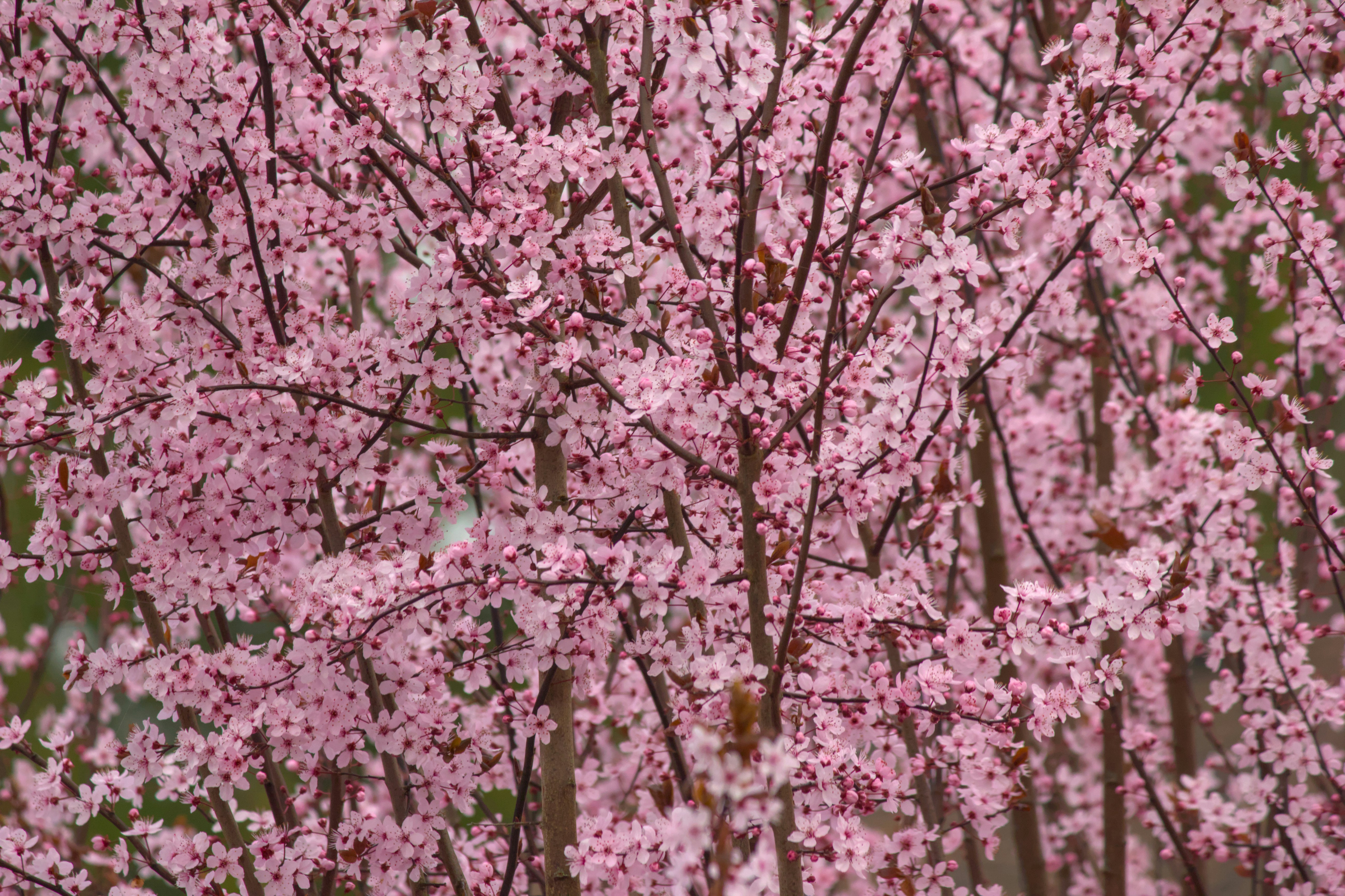 Photo by guynamedzero