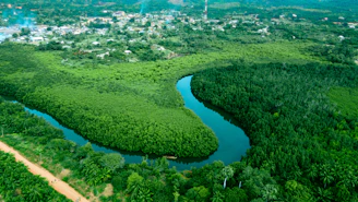 A lush river curves through verdant greenery.