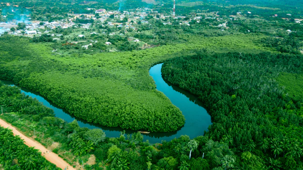 A lush river curves through verdant greenery.