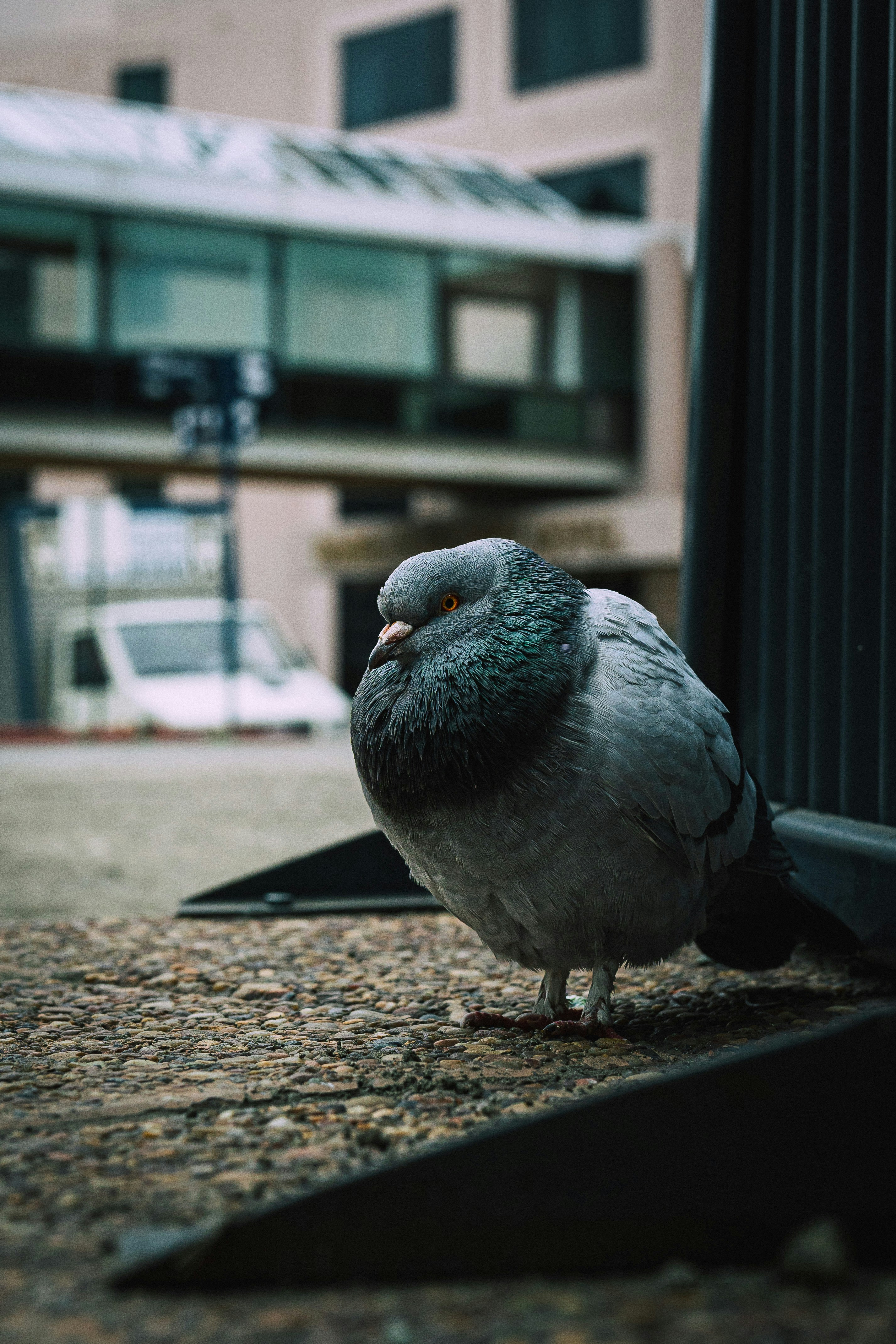 Photo by justalifein