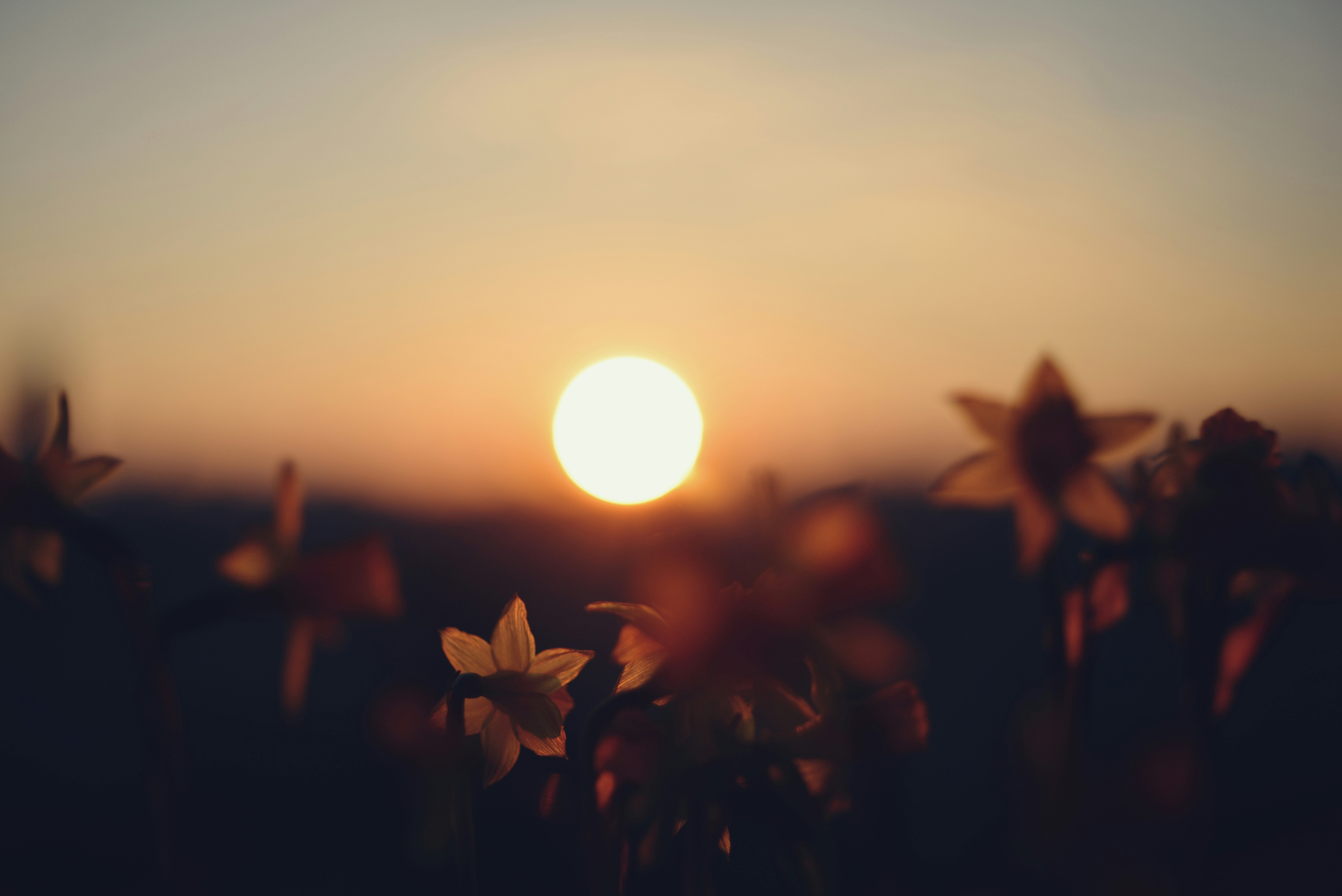 A Thousand Splendid Suns Quotes: 30 Most Heartbreaking Lines