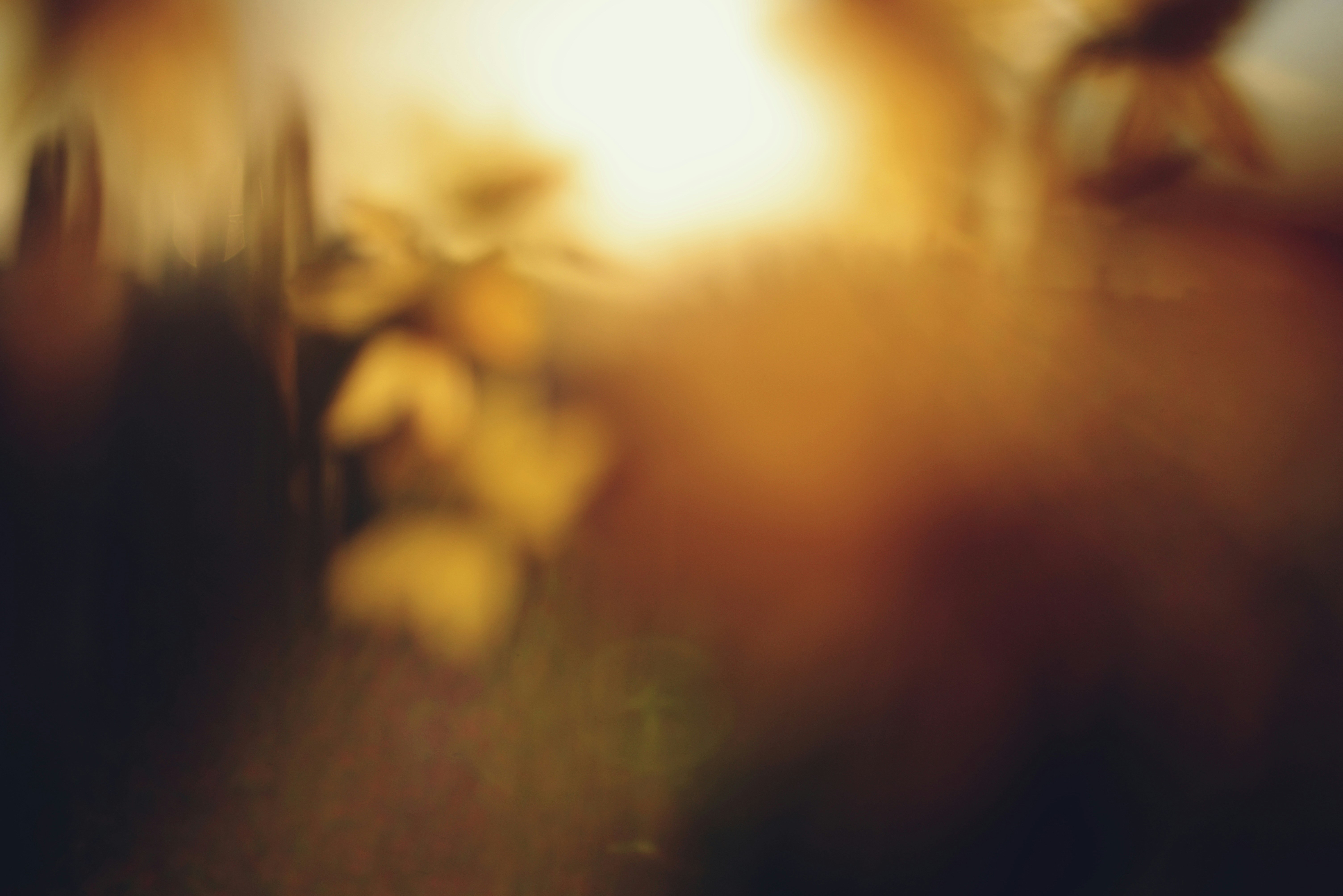 Photo by cherstve_pechivo