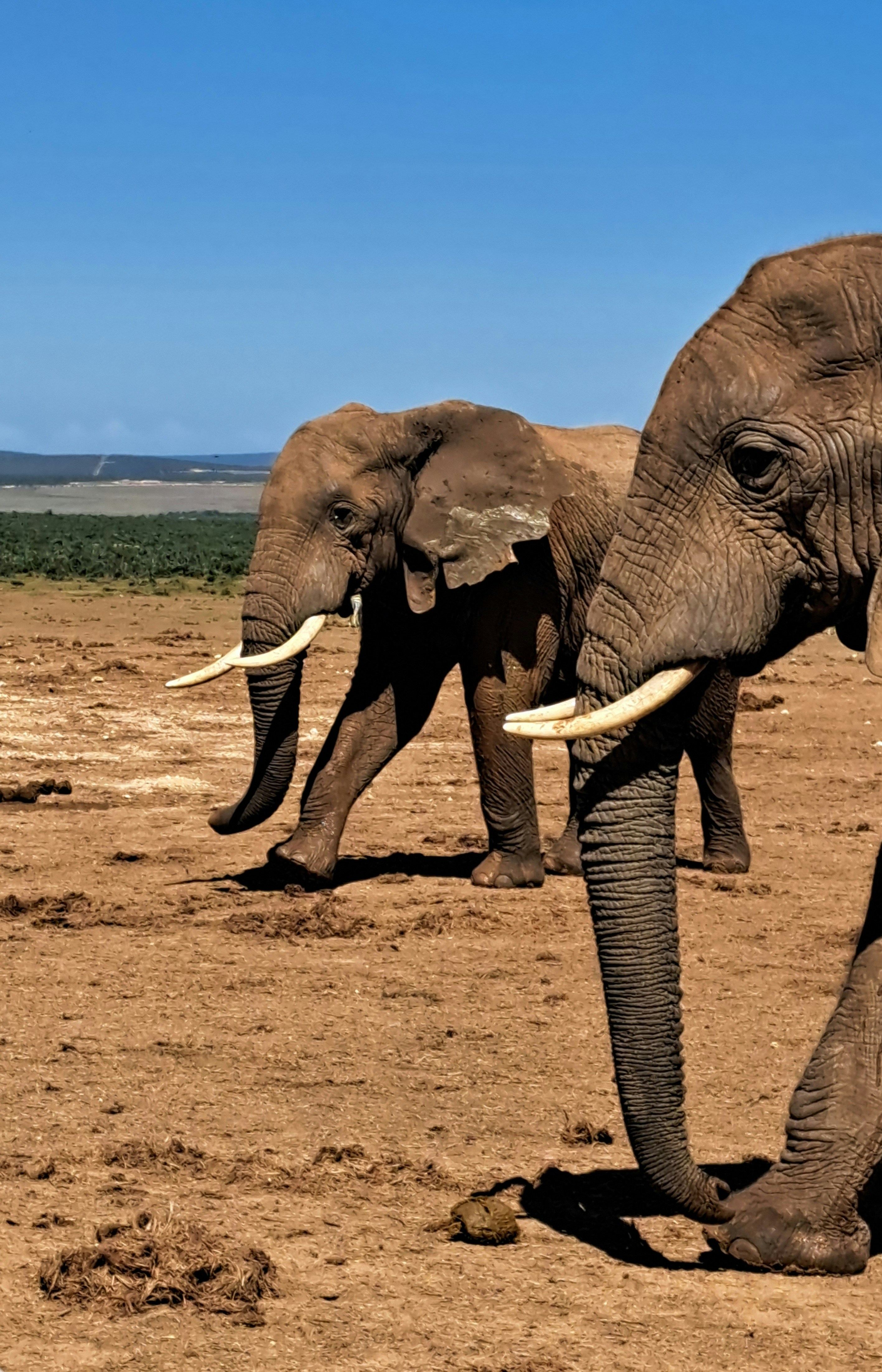 Photo by schreibmich