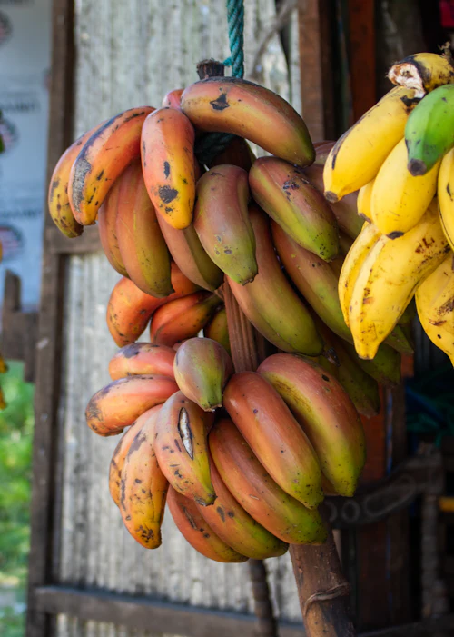 Karpuravalli bananas