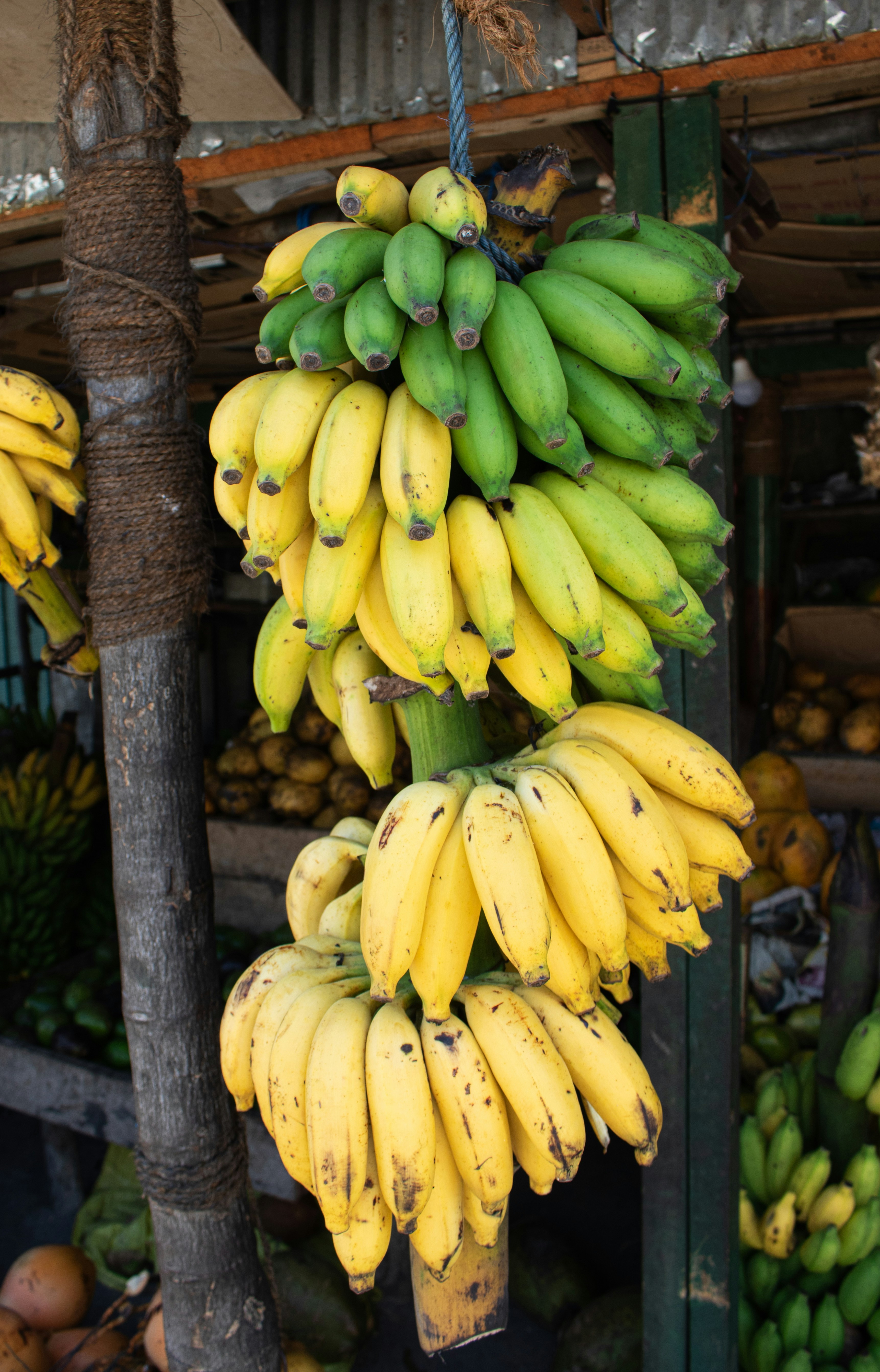 Photo by zoshuacolah